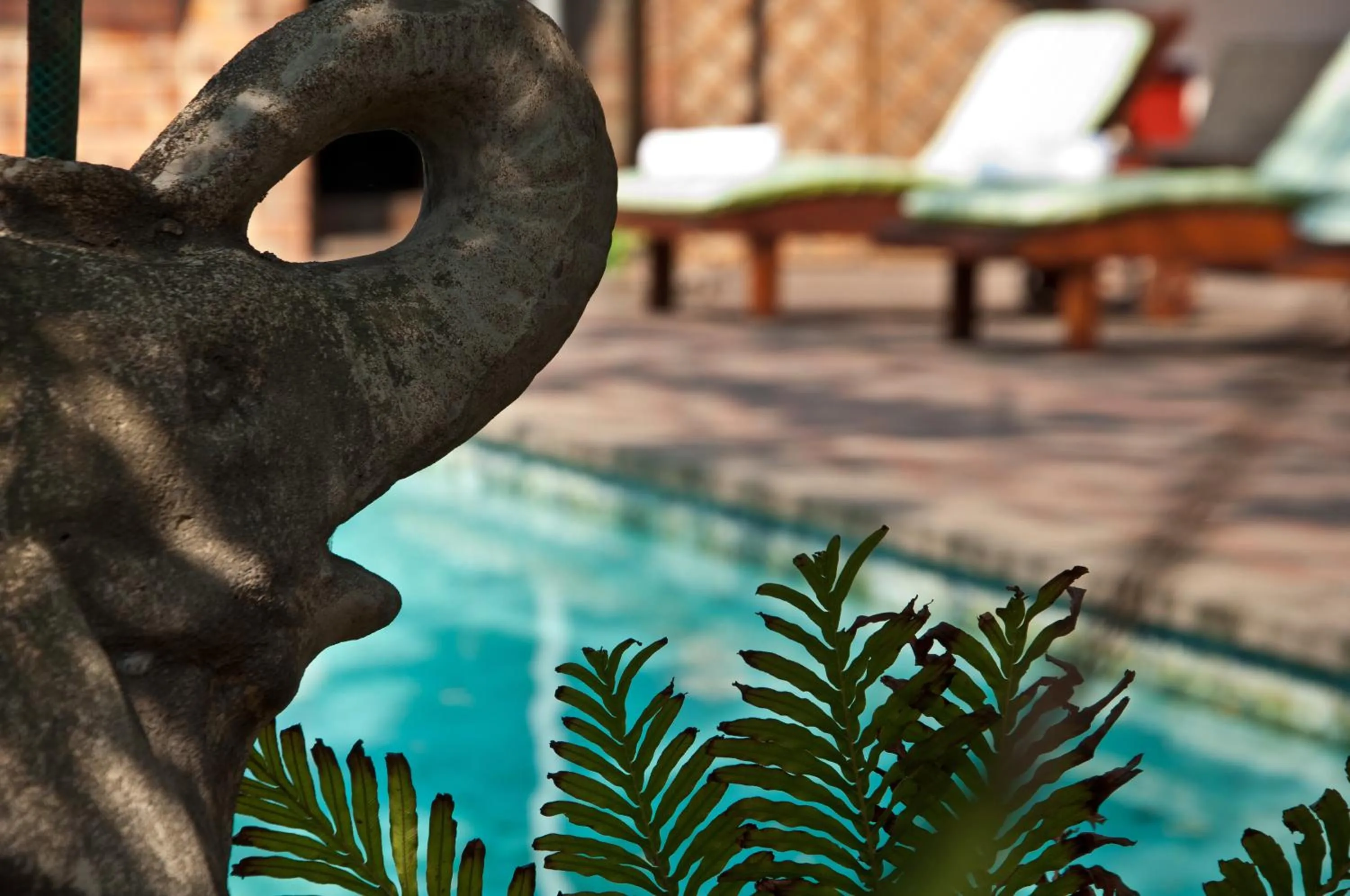 Natural landscape in Woodpecker Inn