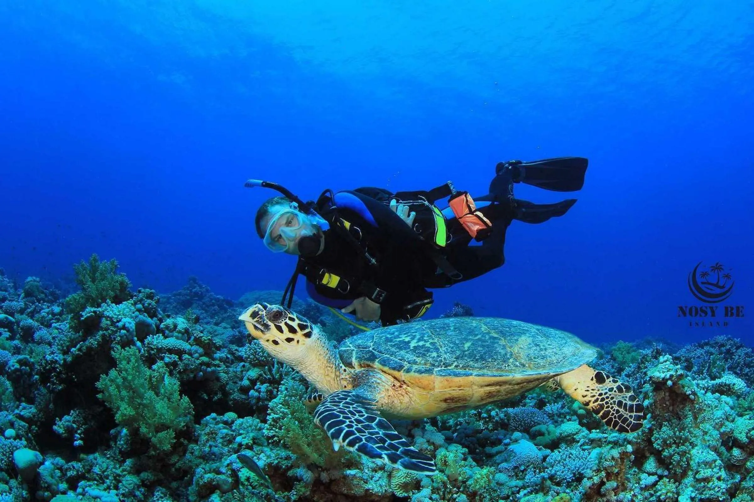 Diving in Ylang hôtel