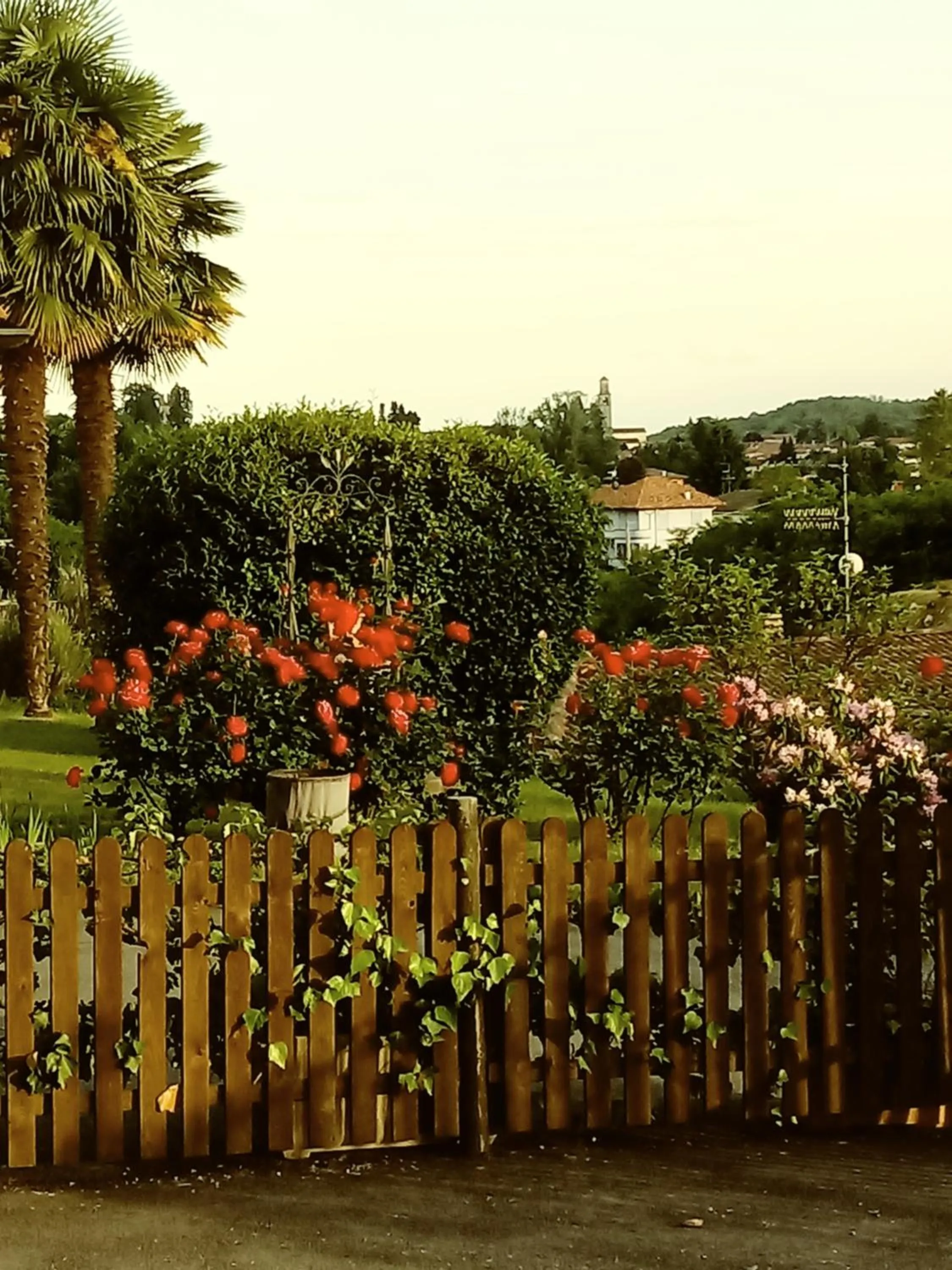 Garden in B&B La Quiete