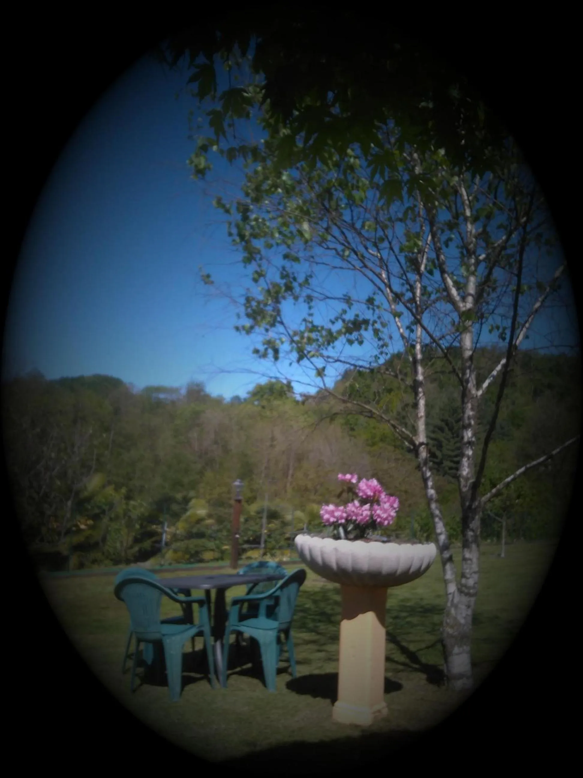 Garden view in B&B La Quiete