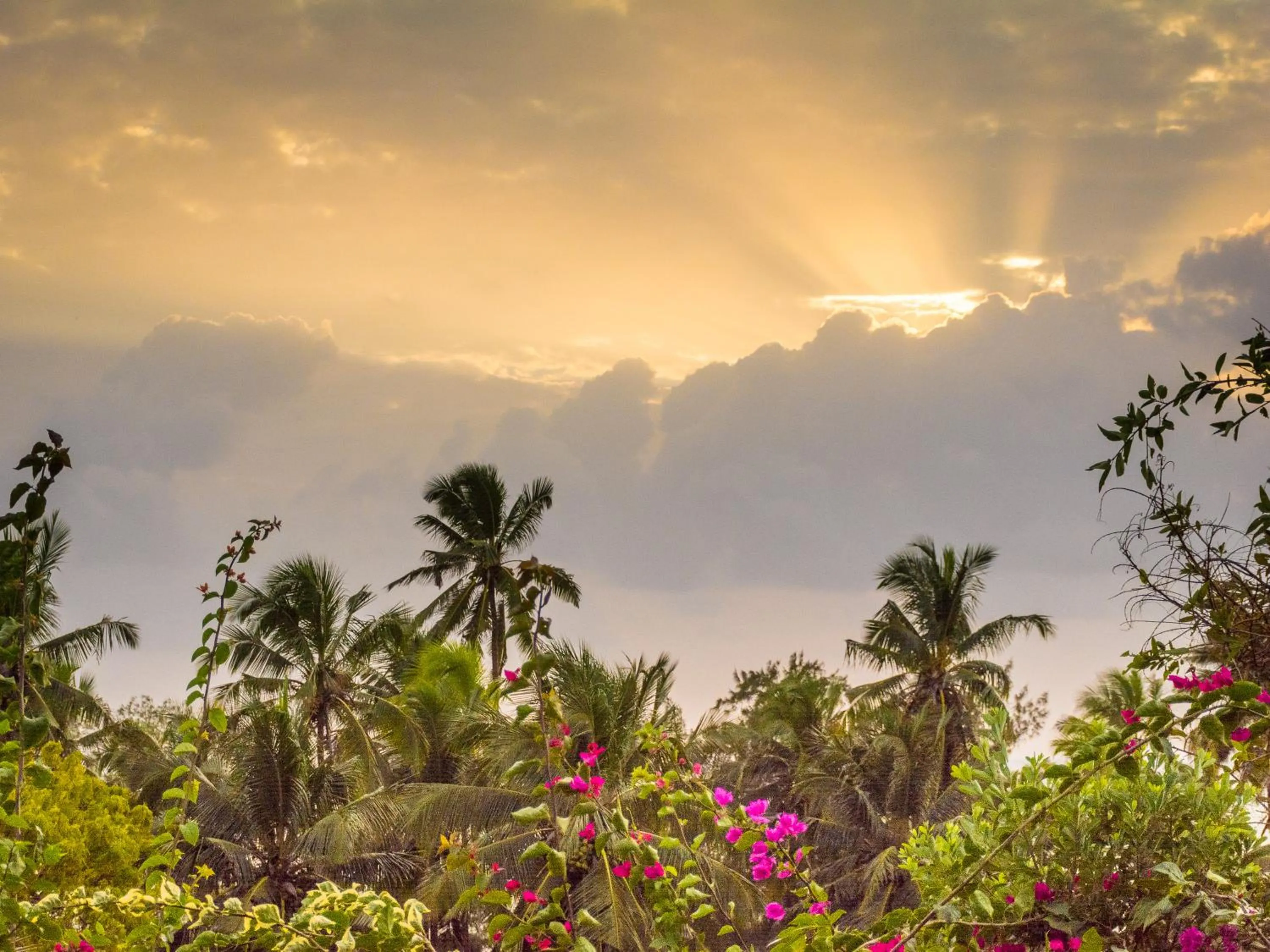 Garden view in Zan View Hotel