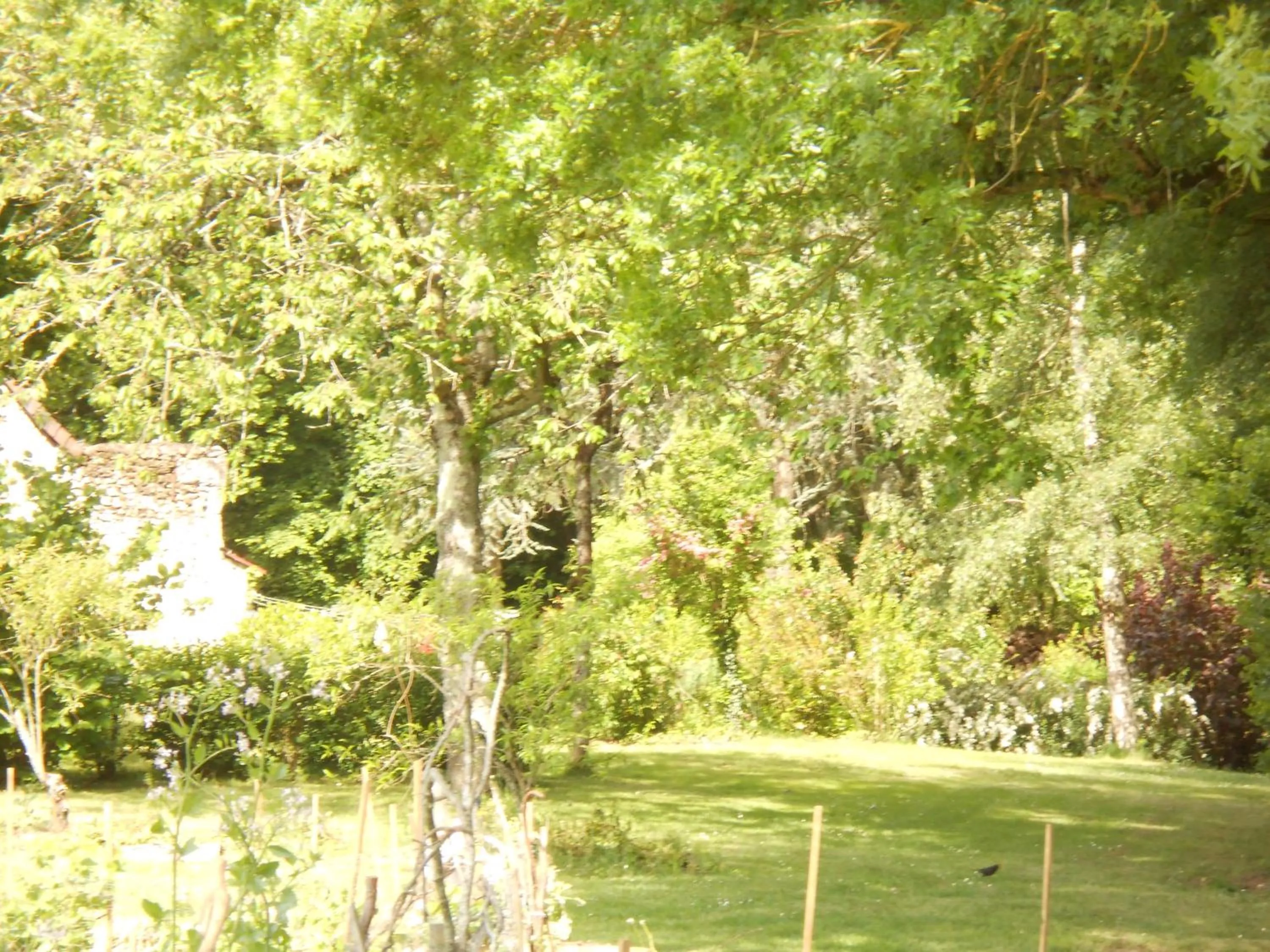 Garden view in B&B La Ferme des Bordes