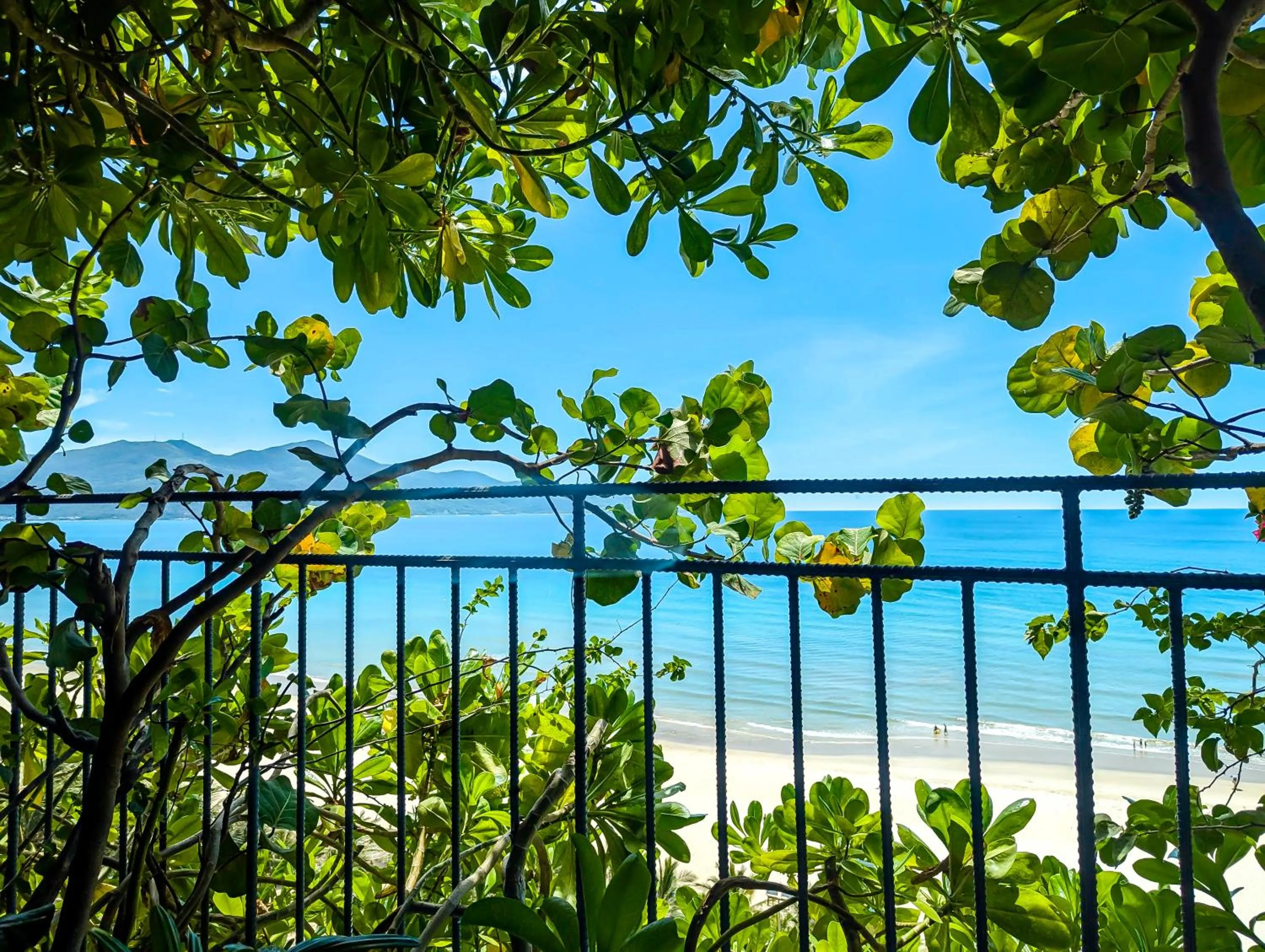 Garden in M Hotel Danang
