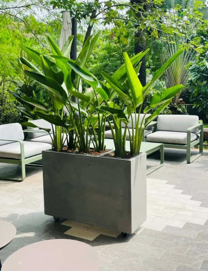 Garden in Hotel Lepic