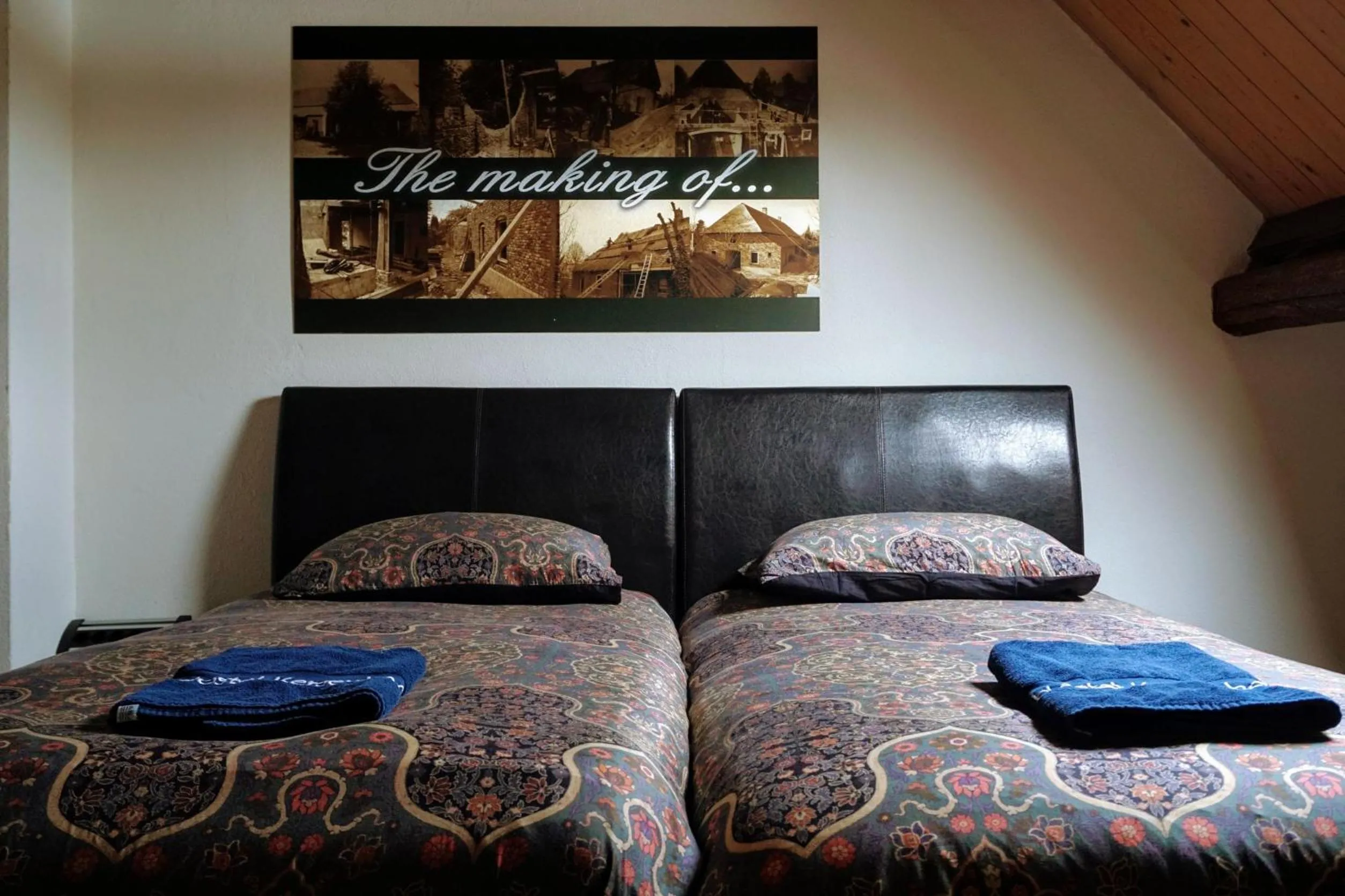 Double Room with Private Bathroom - single occupancy in Hostel Kersenhof