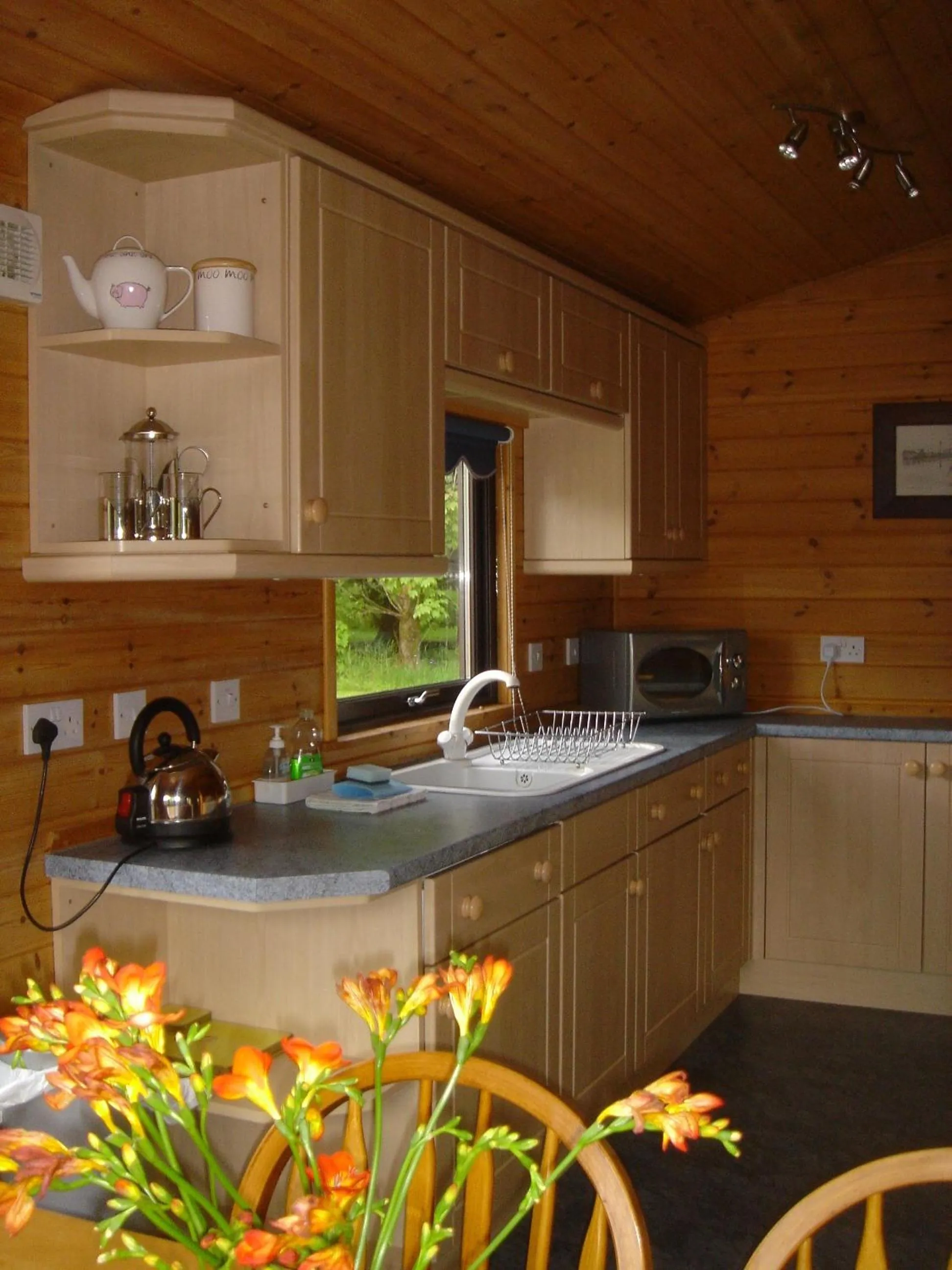 Kitchen or kitchenette in Loch Lomond Lodge