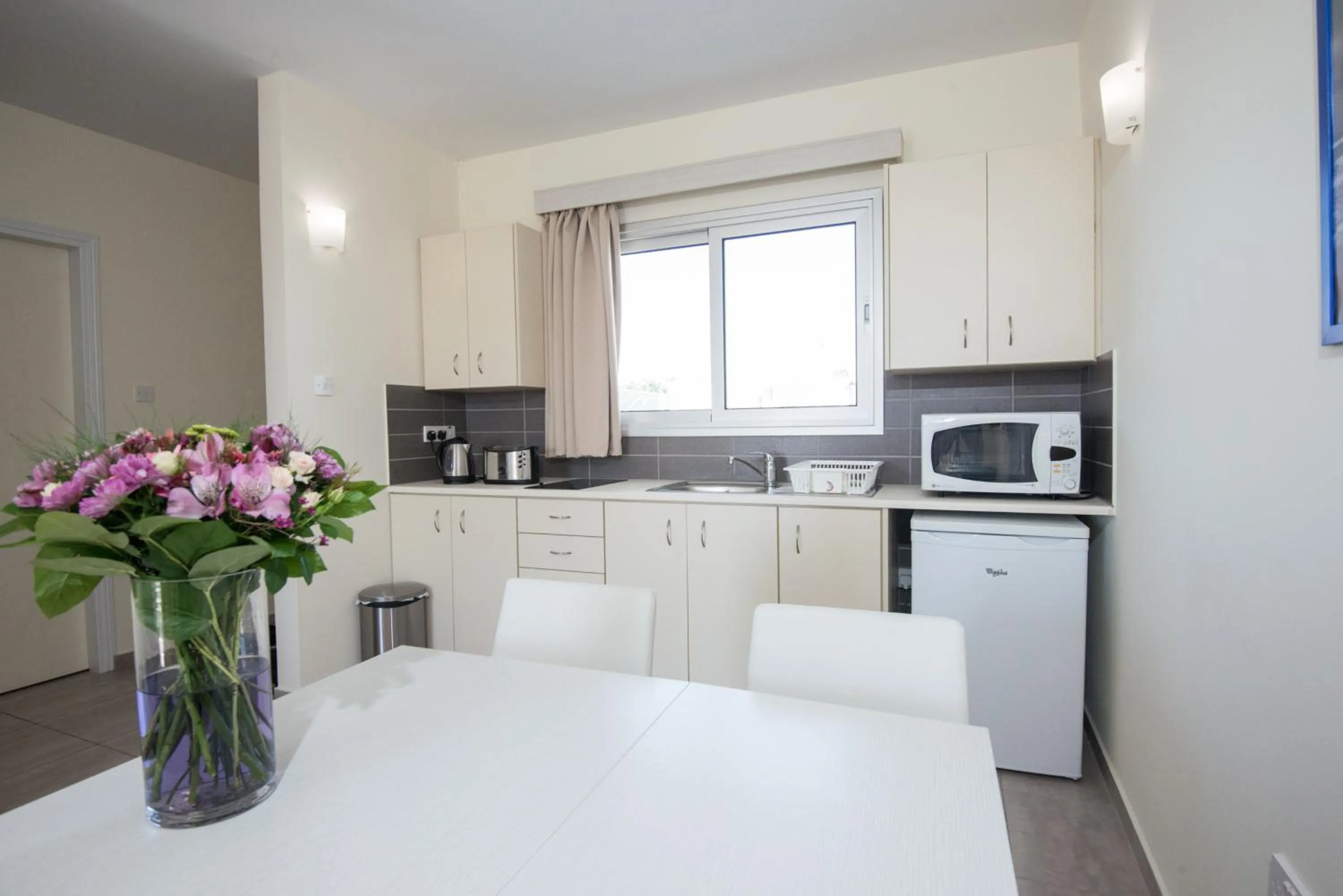 Kitchen or kitchenette in Eligonia Hotel Apartments