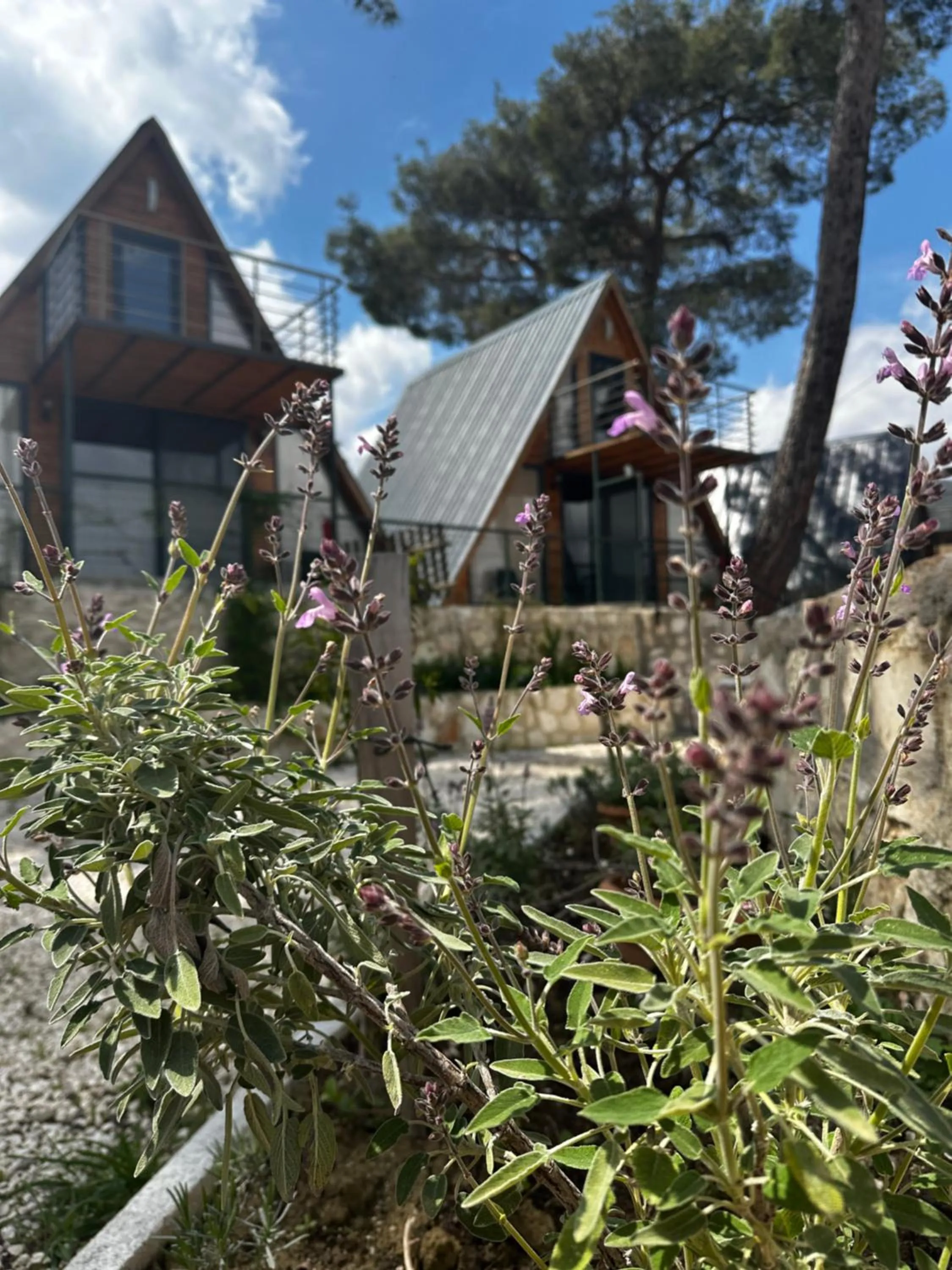 Kandybos Eco Farm Village