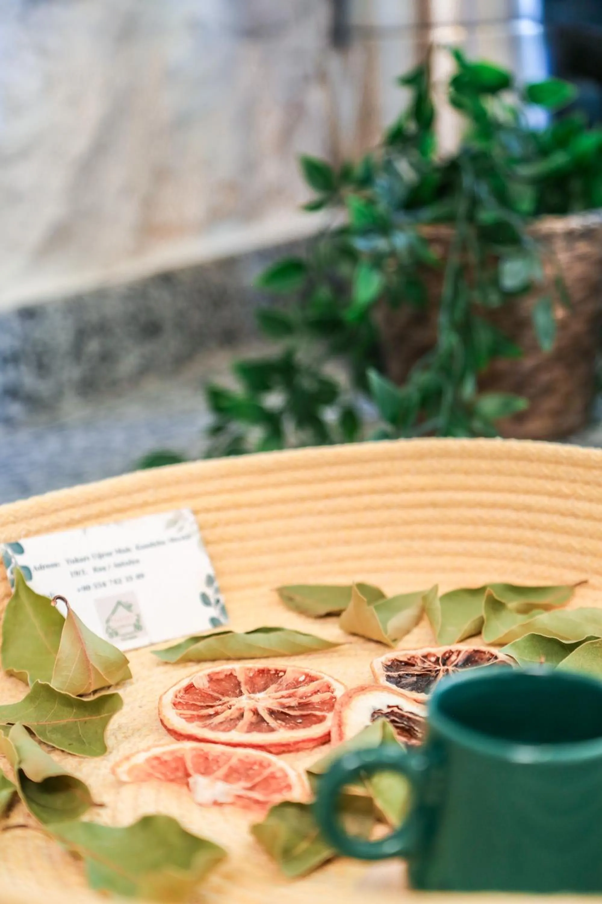 Kandybos Eco Farm Village