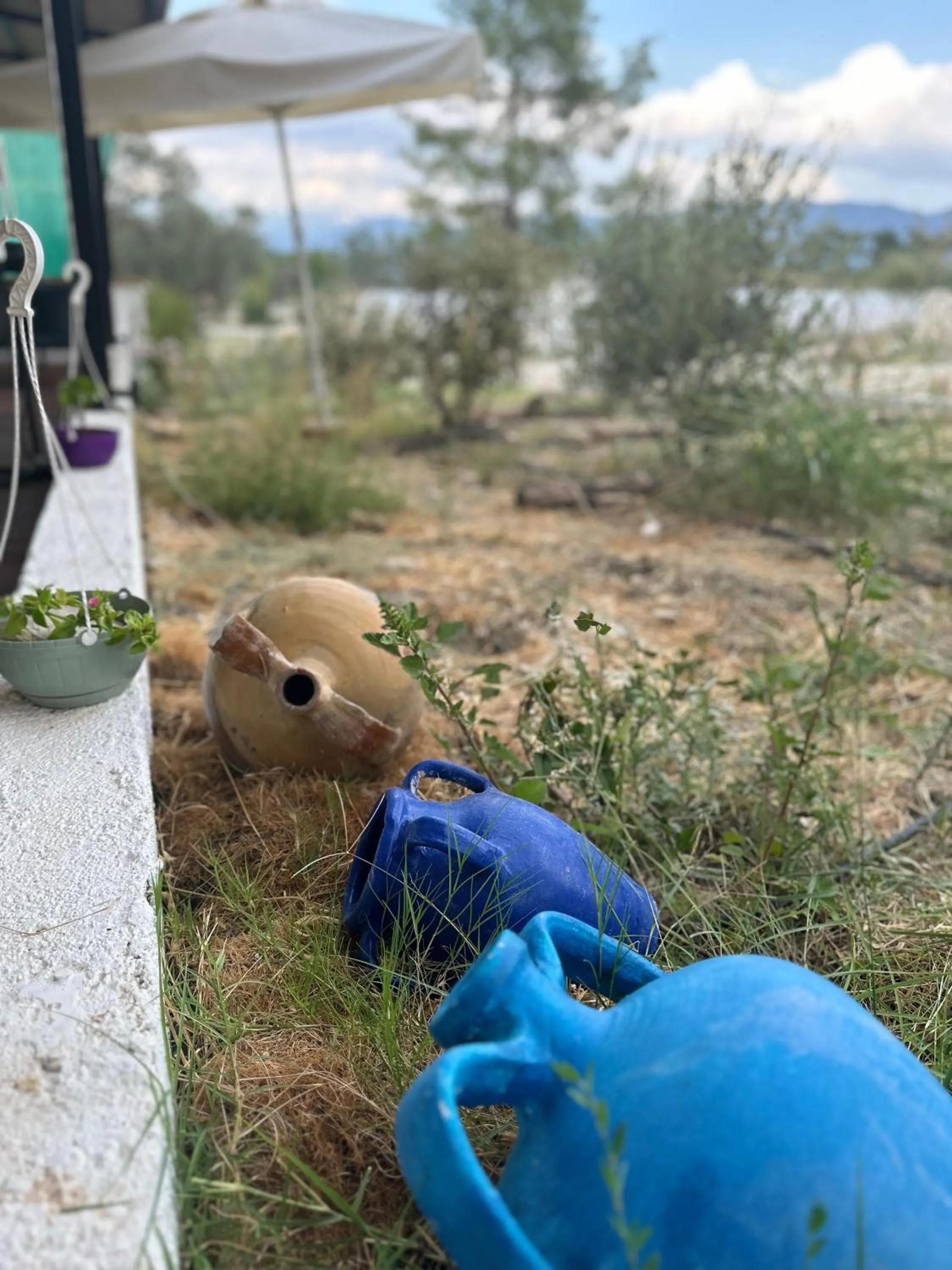 Kandybos Eco Farm Village