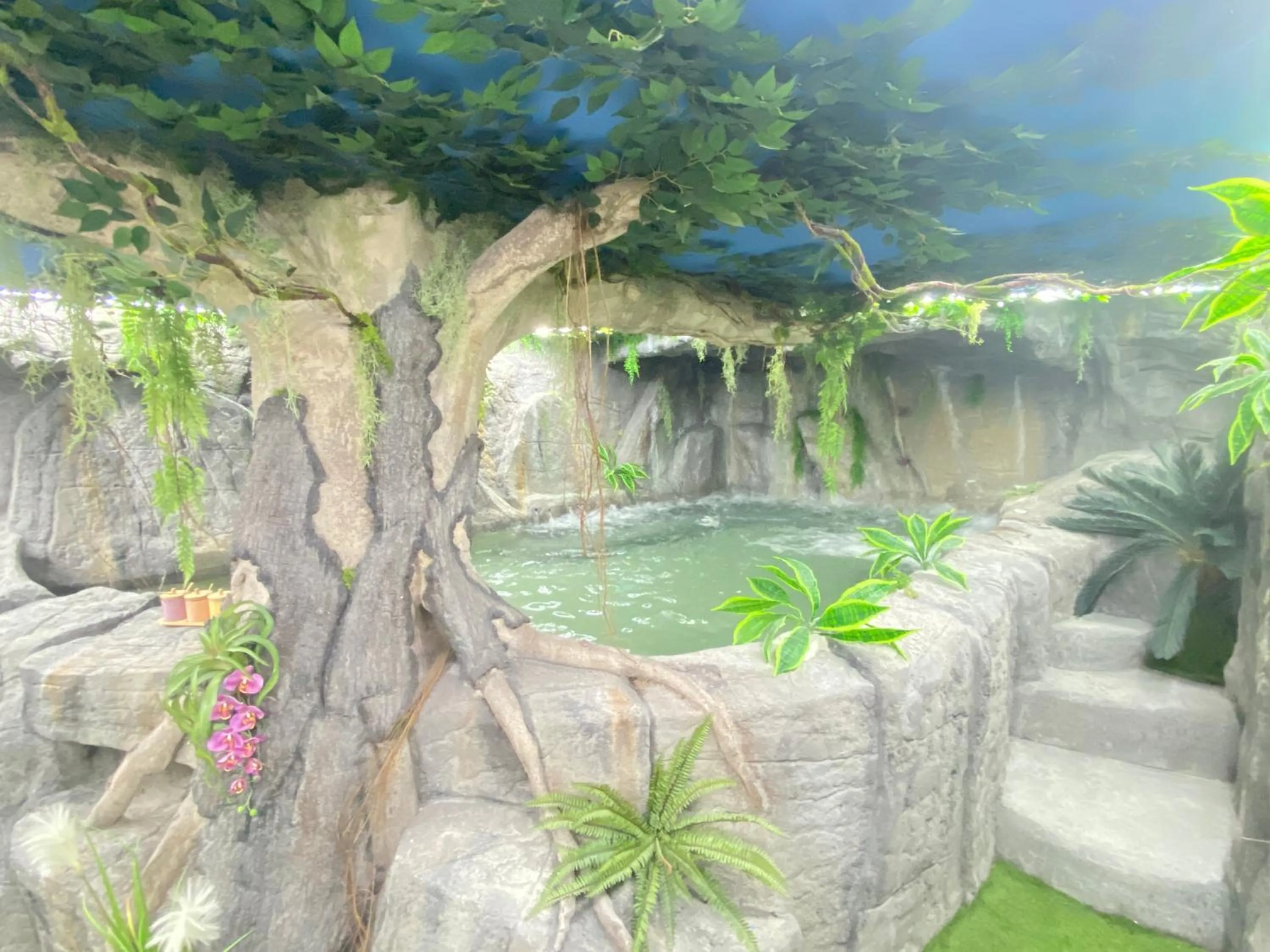 Spa and wellness centre/facilities in Futurotel Spa Garden