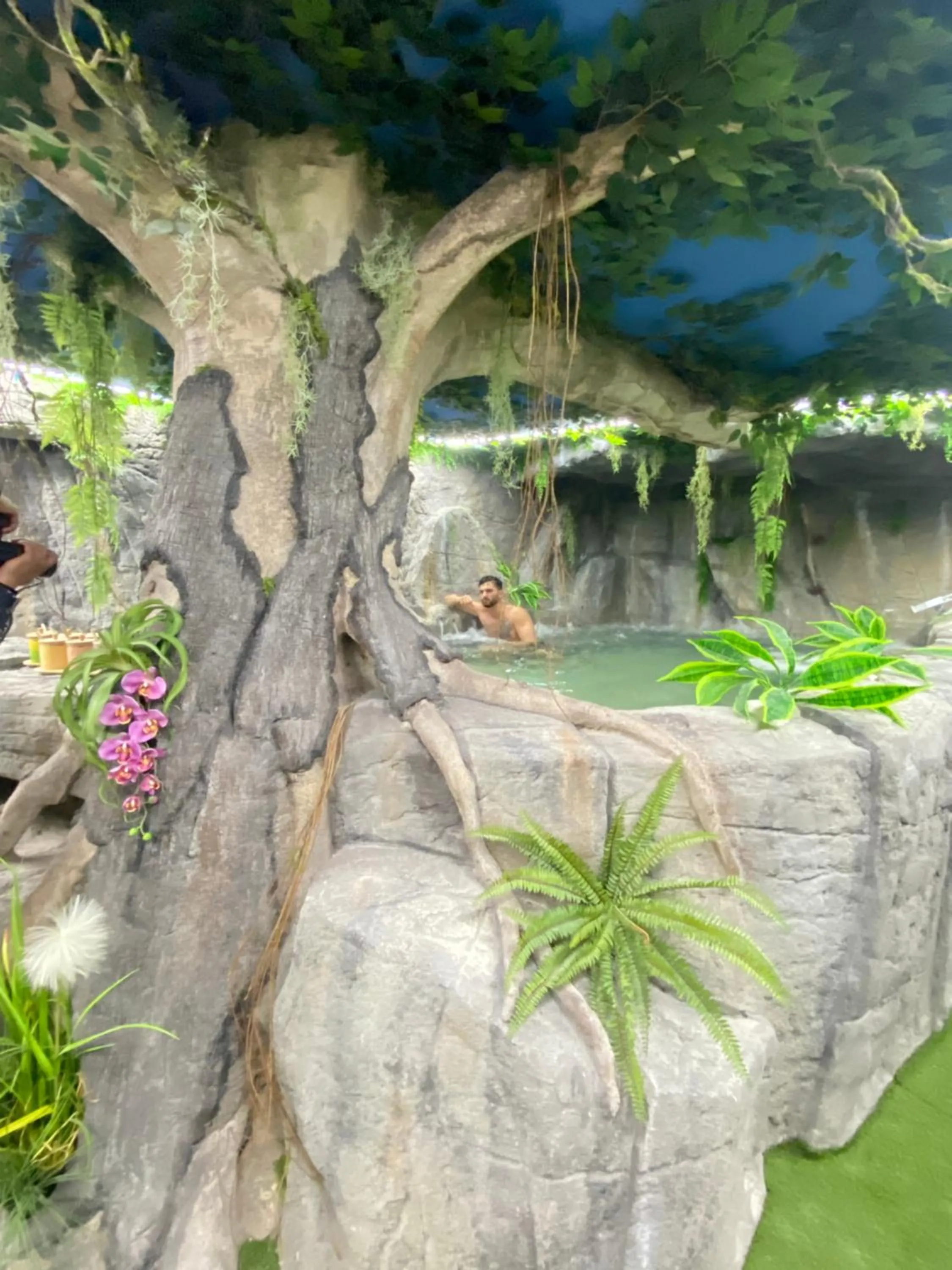 Spa and wellness centre/facilities in Futurotel Spa Garden