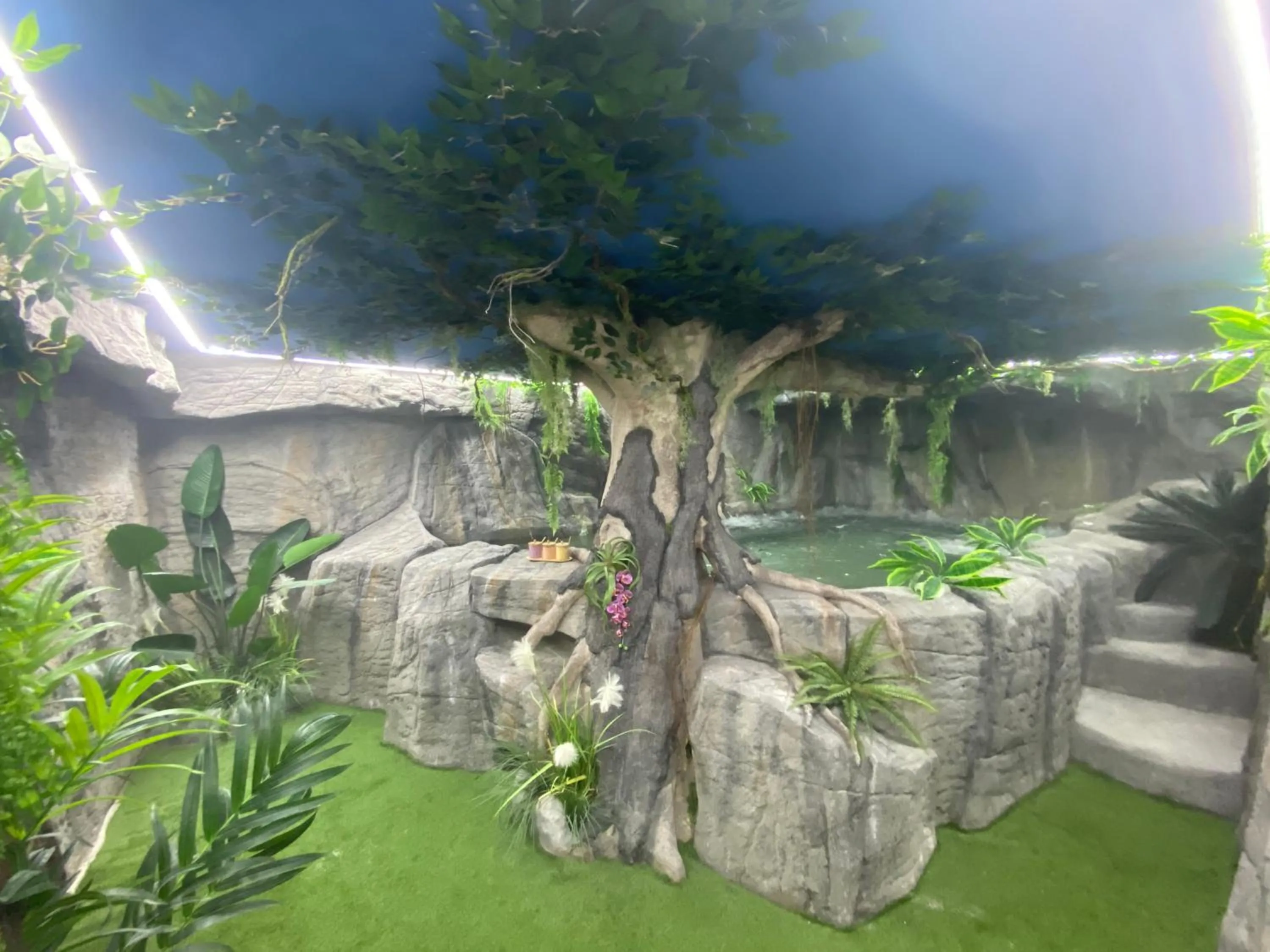 Spa and wellness centre/facilities in Futurotel Spa Garden