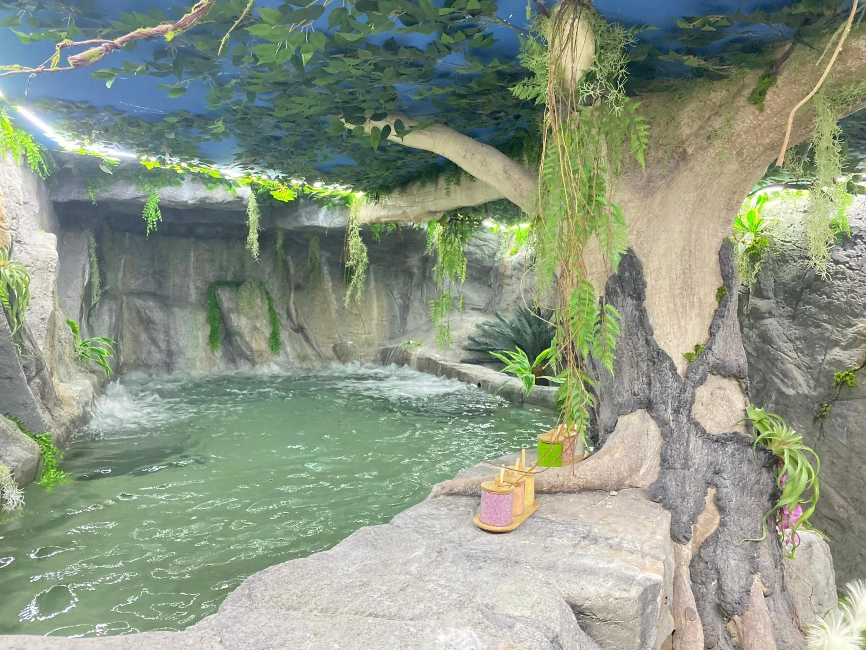 Spa and wellness centre/facilities in Futurotel Spa Garden