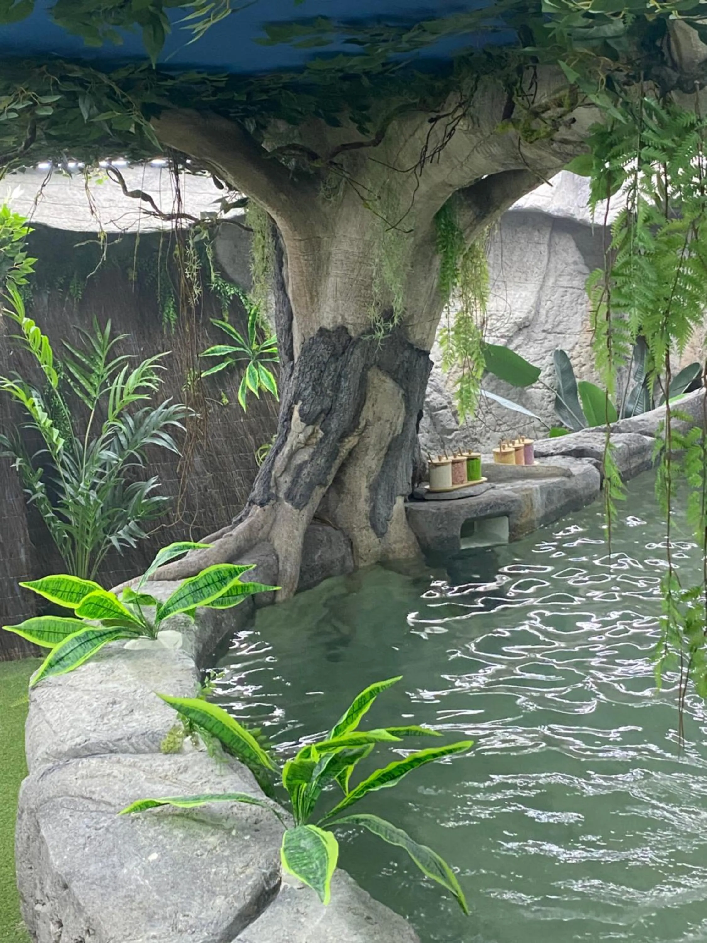 Spa and wellness centre/facilities in Futurotel Spa Garden