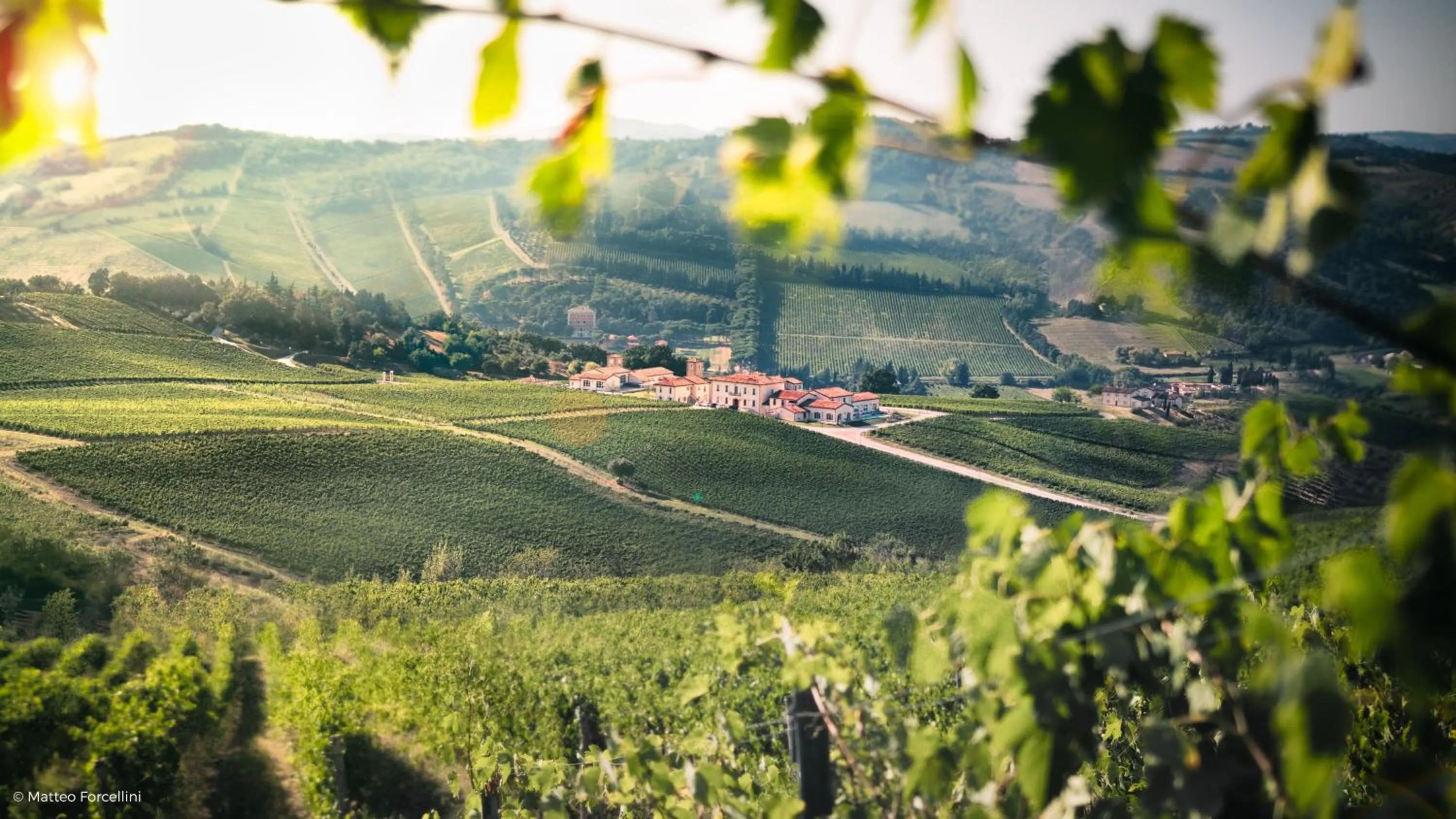 Garden in Borgo Conde Wine Resort