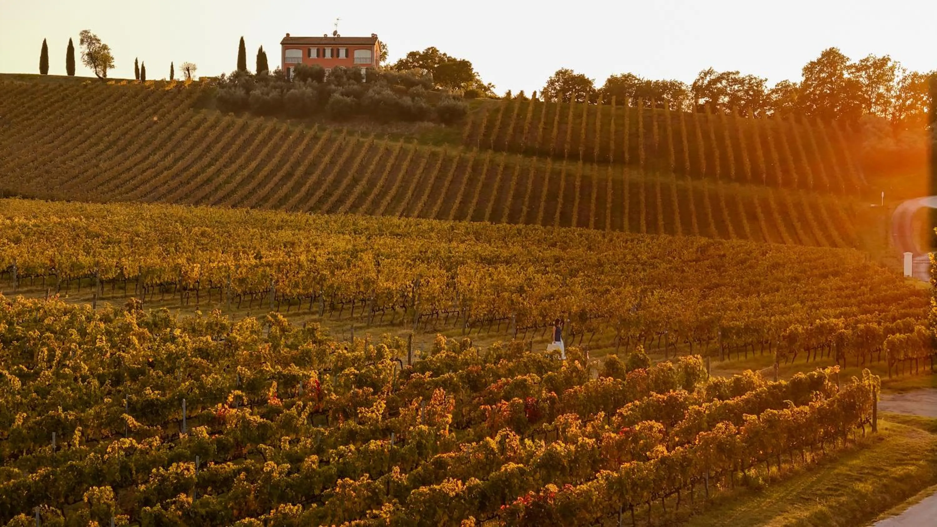 Property building in Borgo Conde Wine Resort