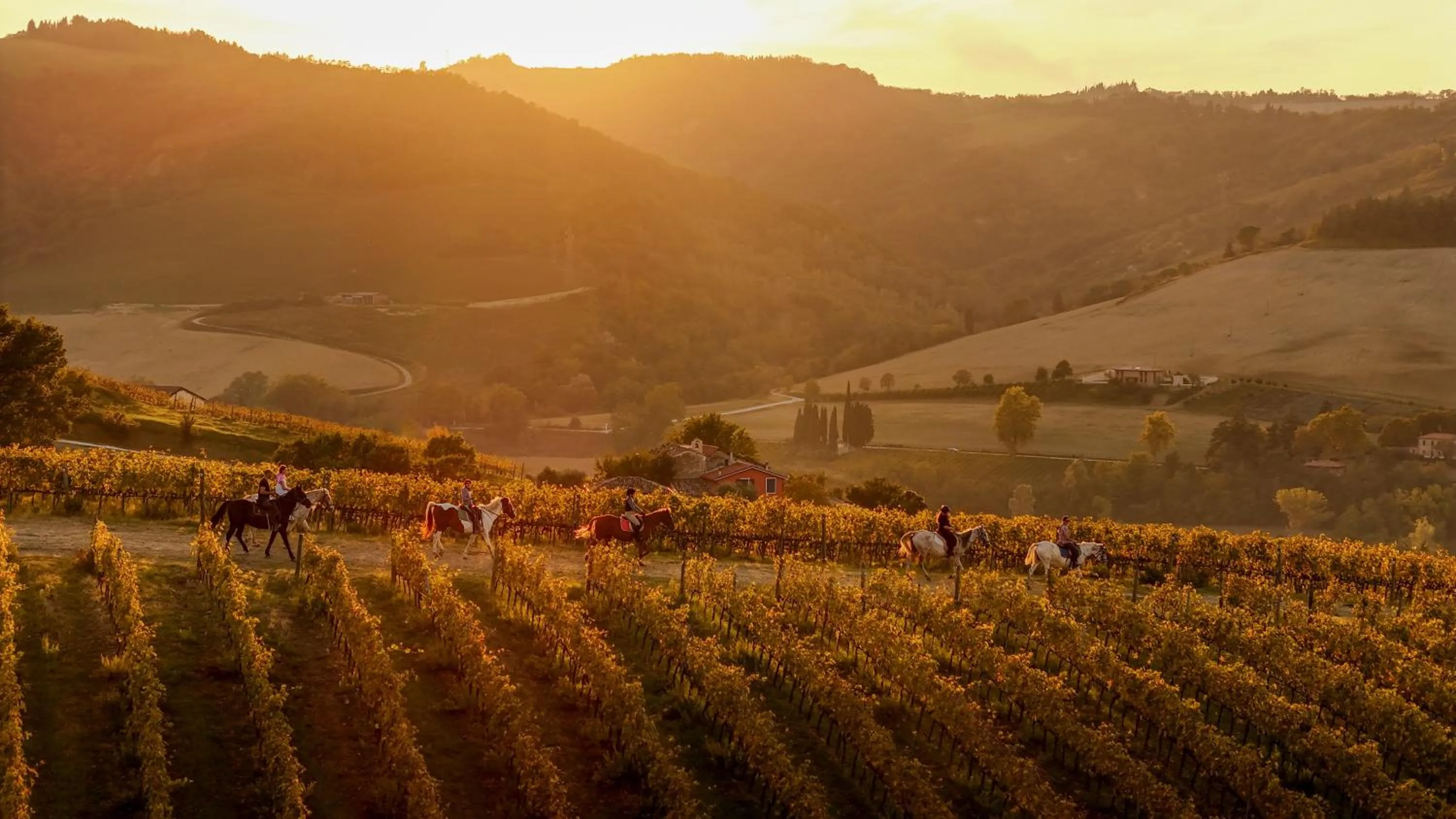 Hiking in Borgo Conde Wine Resort