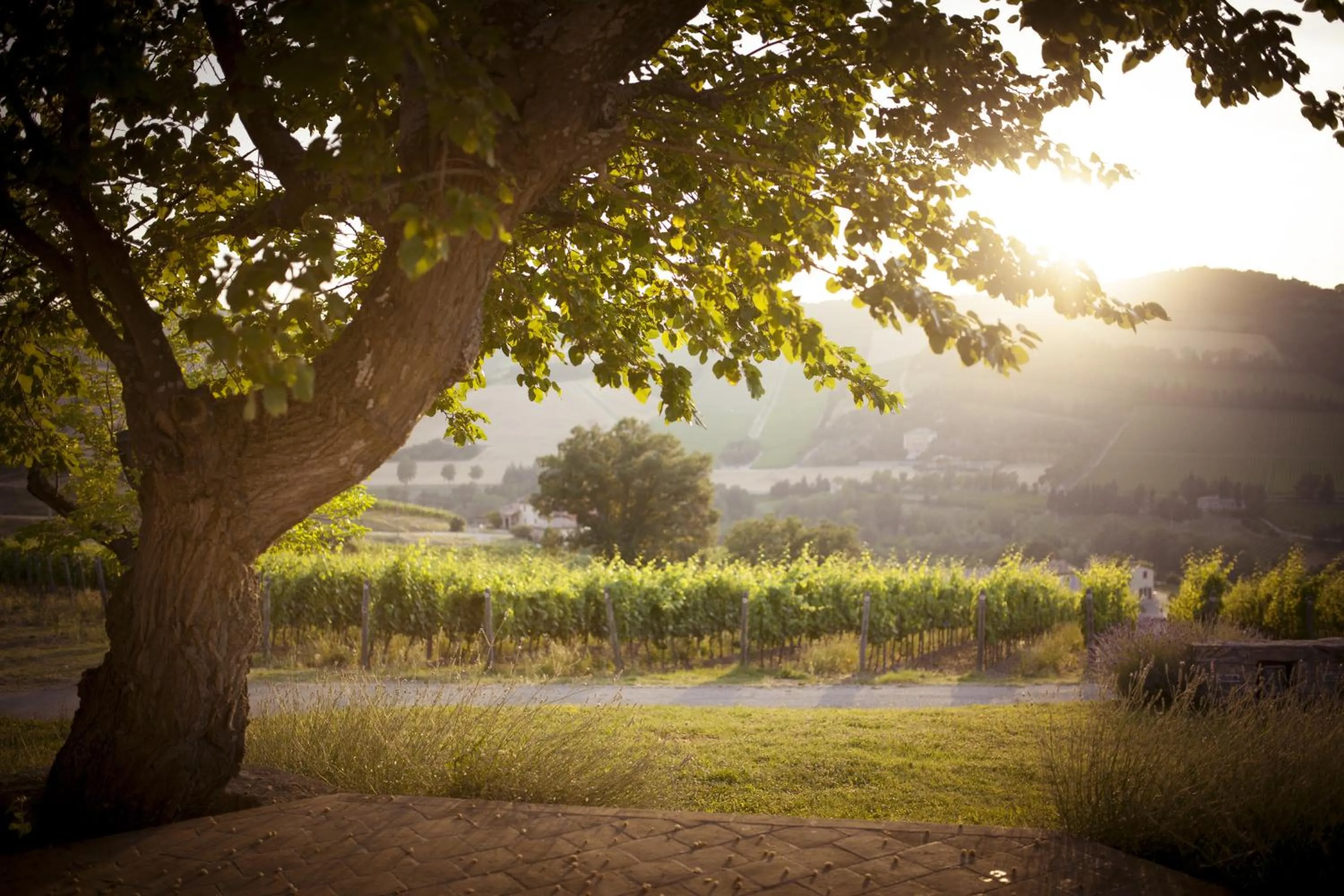 Landmark view in Borgo Conde Wine Resort