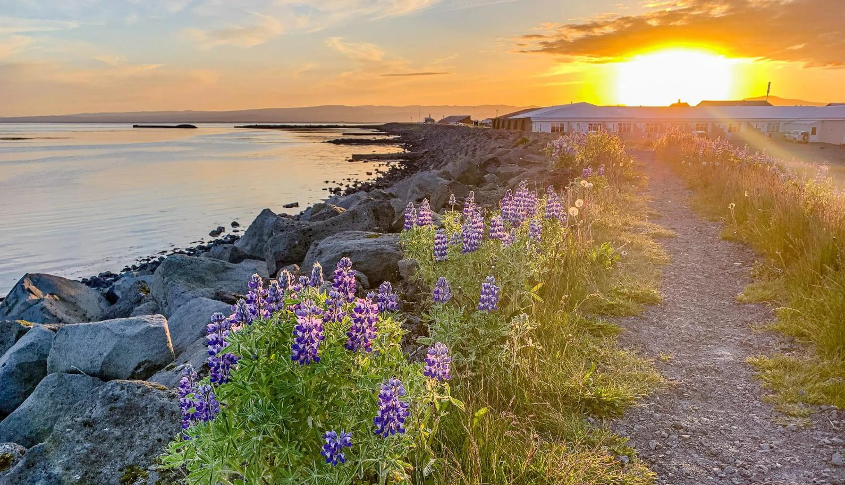 Property building in Bakki Apartments & Hostel