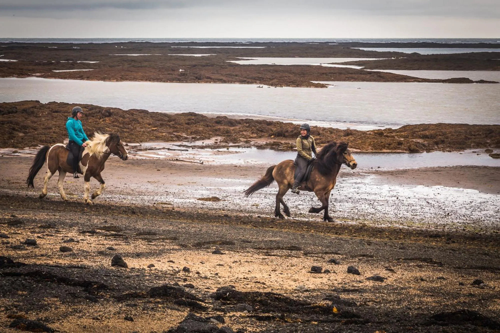 Horse-riding in Bakki Apartments & Hostel