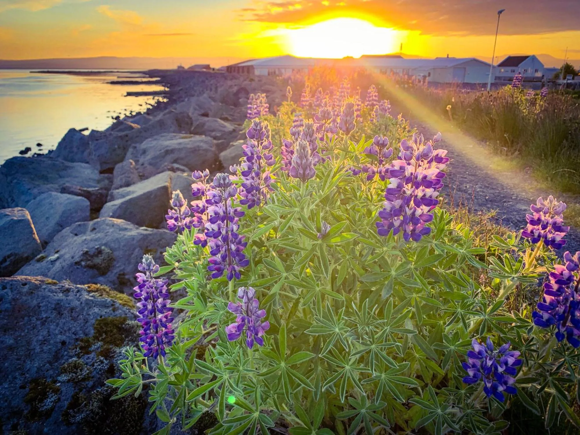 Property building in Bakki Apartments & Hostel