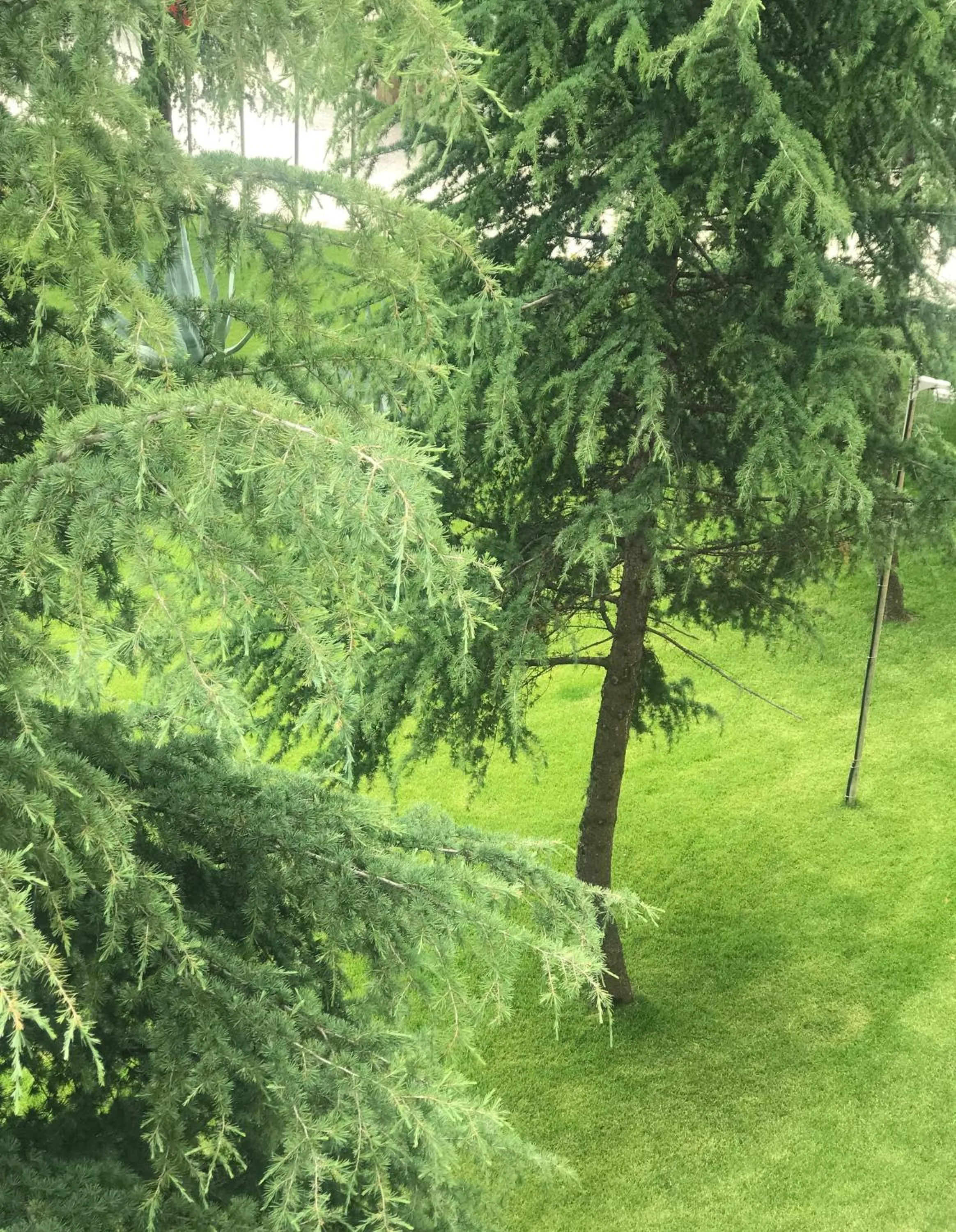 Garden view in Chateau Linza Resort