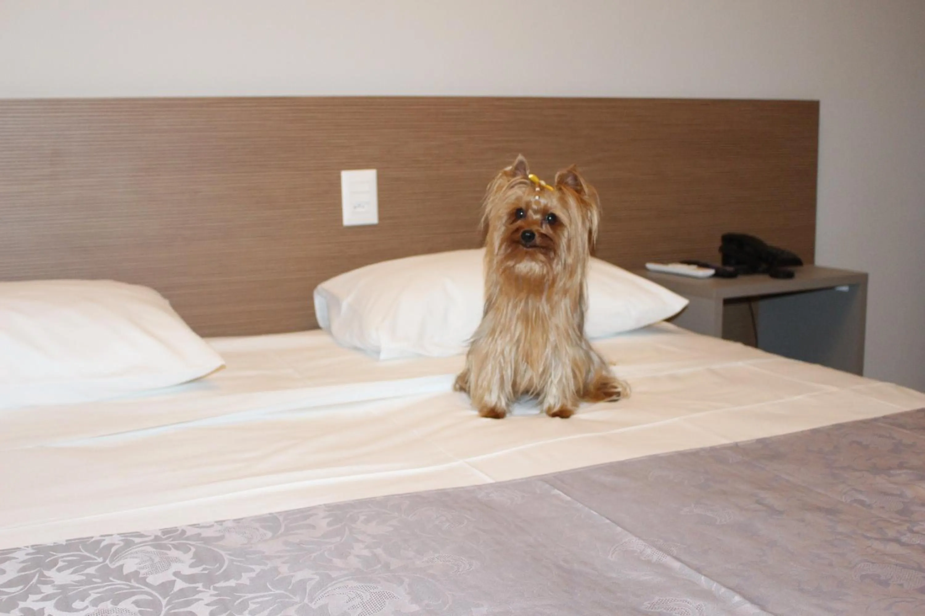 Bed in Optimum Plaza Hotel