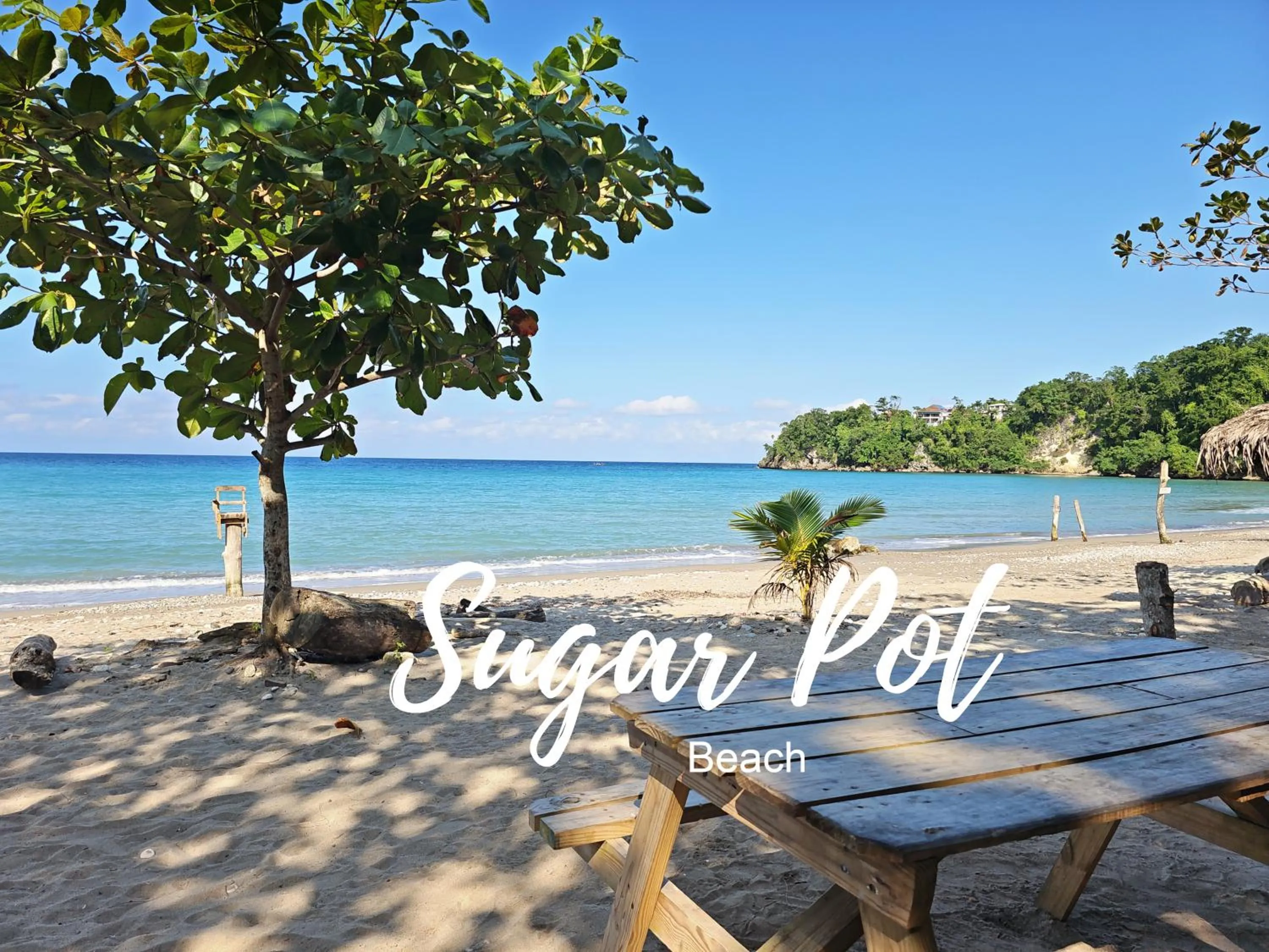 Off site in Chrisanns Paradise Suite by the Ocean - Apt#9