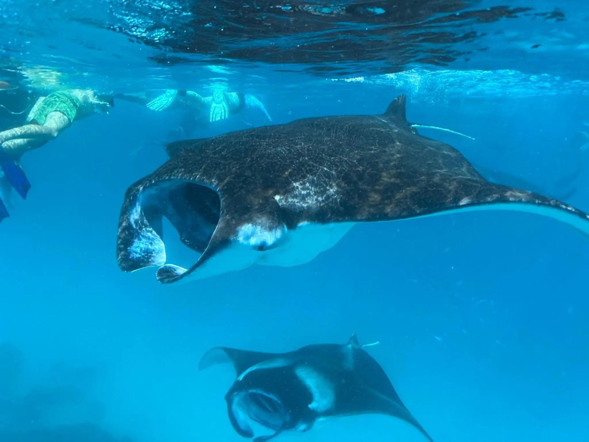 Activities in Chak’z 1964 Beach