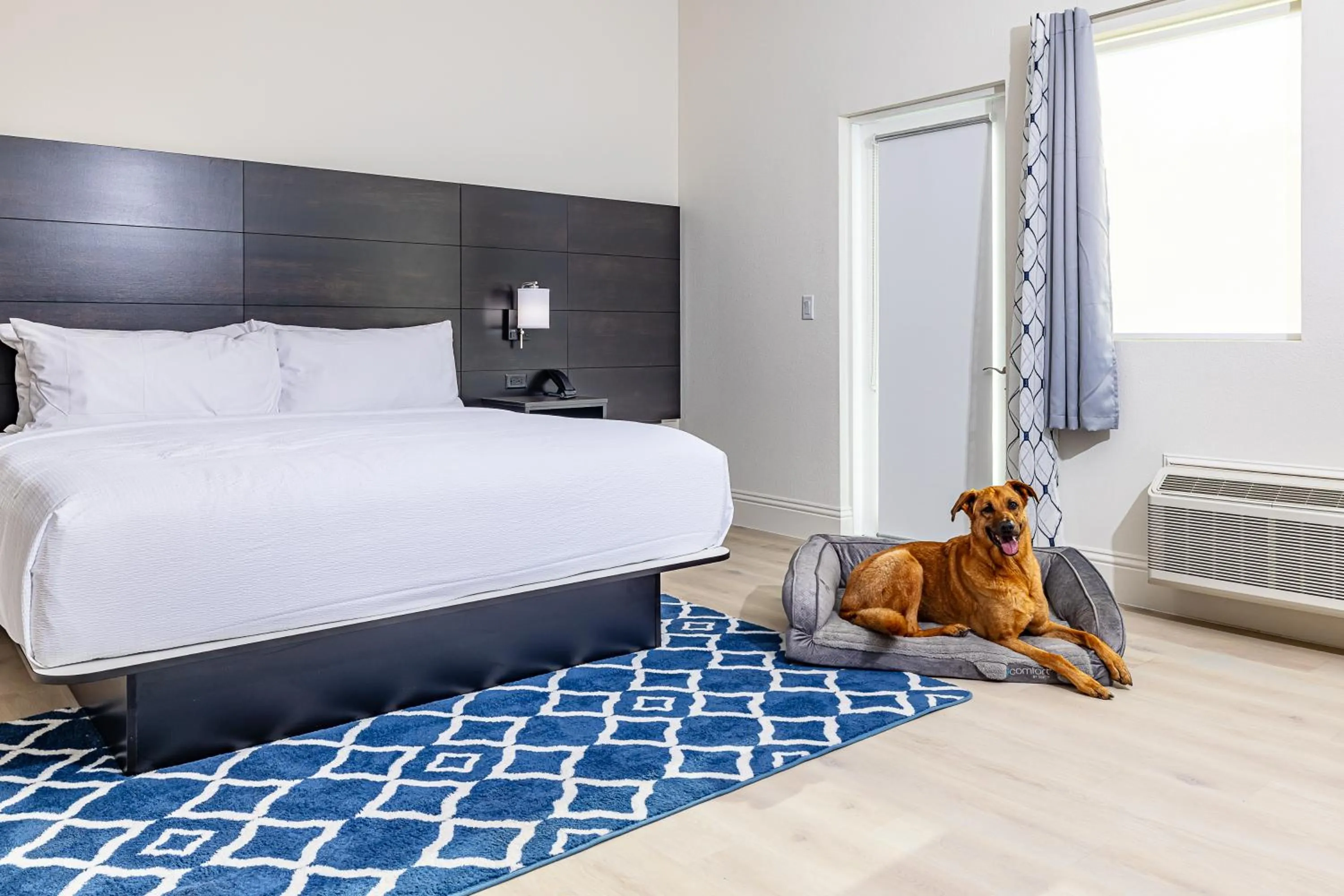 Bed in Grant Street Inn, an Ascend Collection Hotel