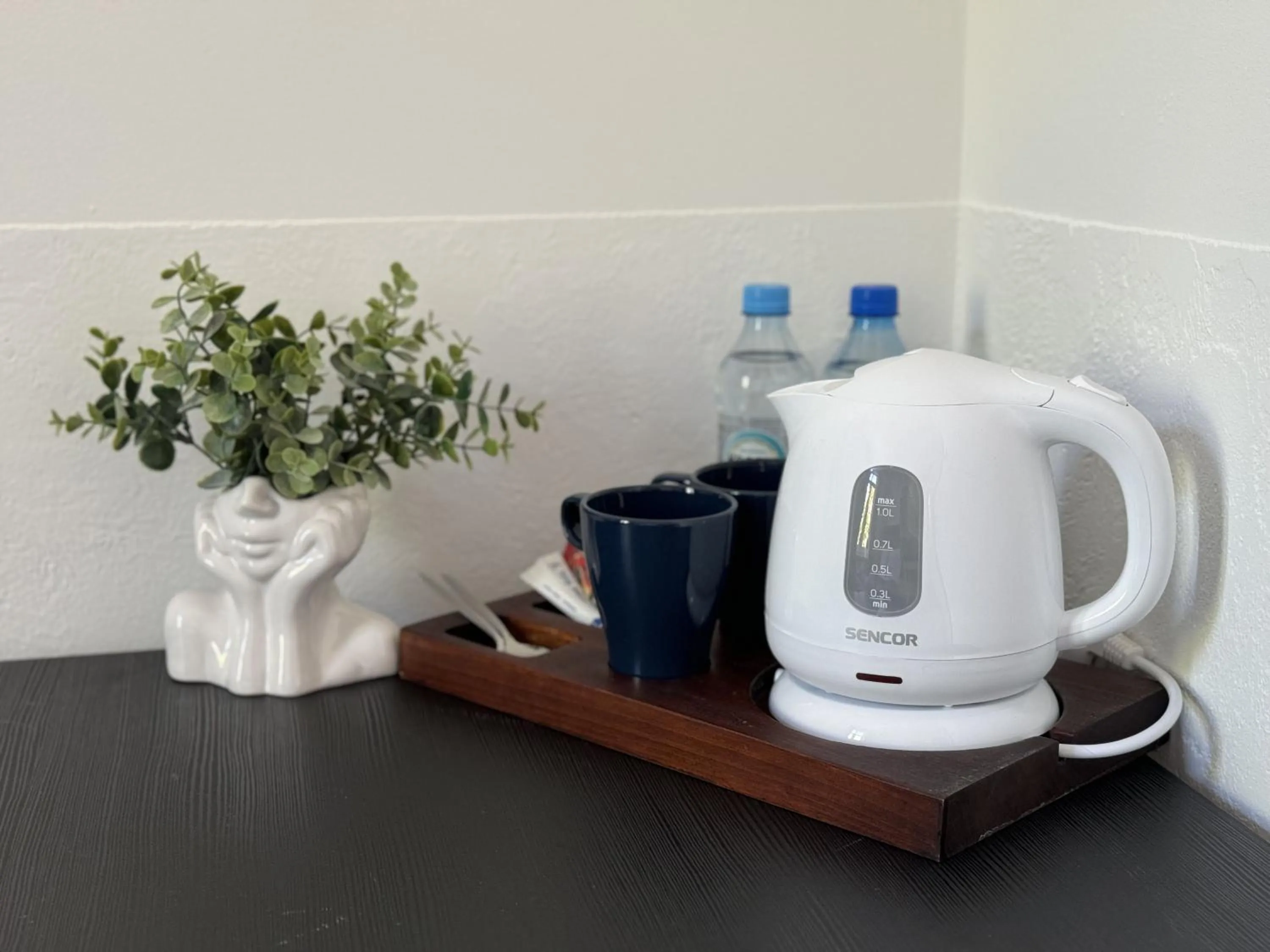 Coffee/tea facilities in IRIS Aparthotel