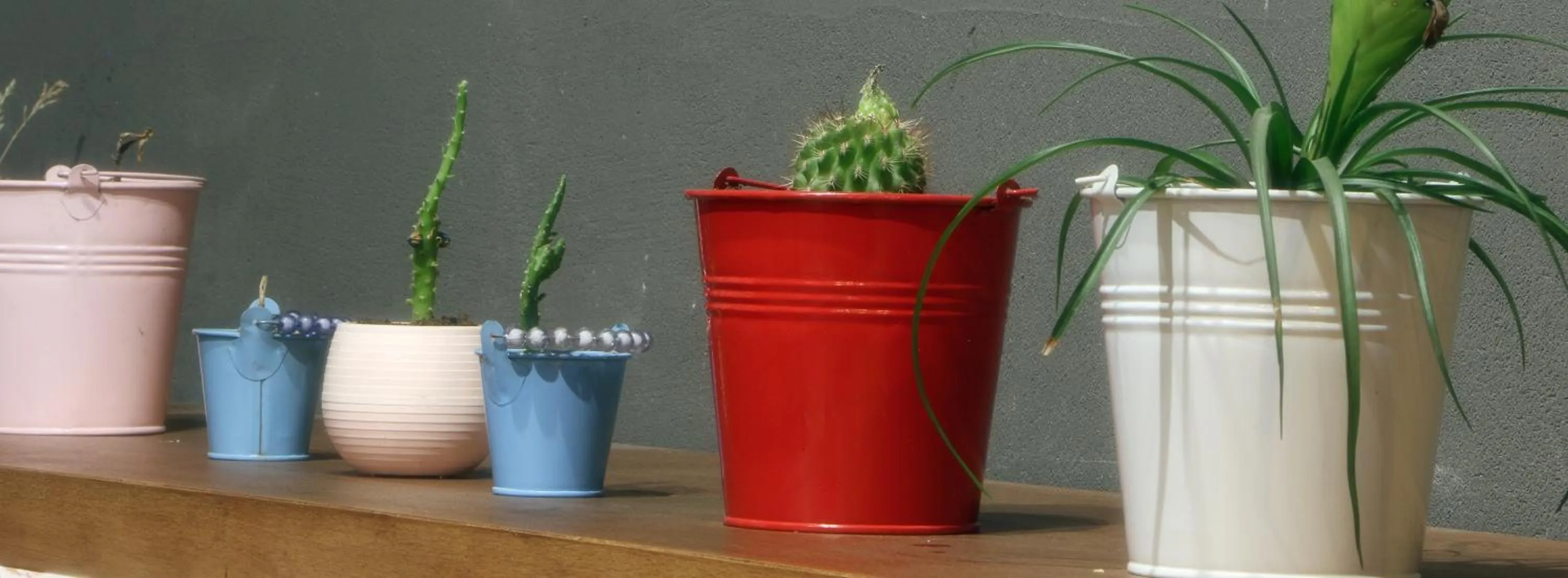 Lobby or reception in Miller Hotel