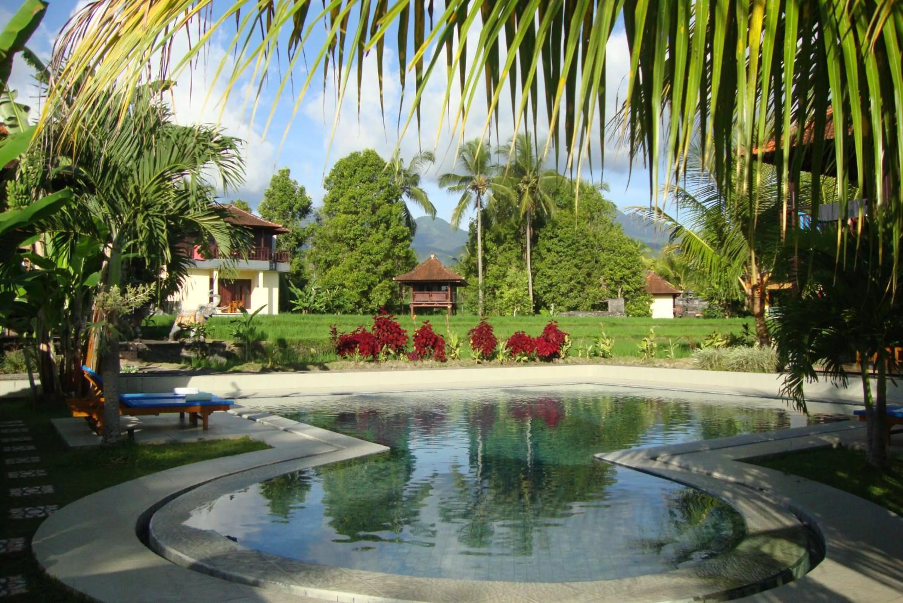 Swimming pool in Atres Villa