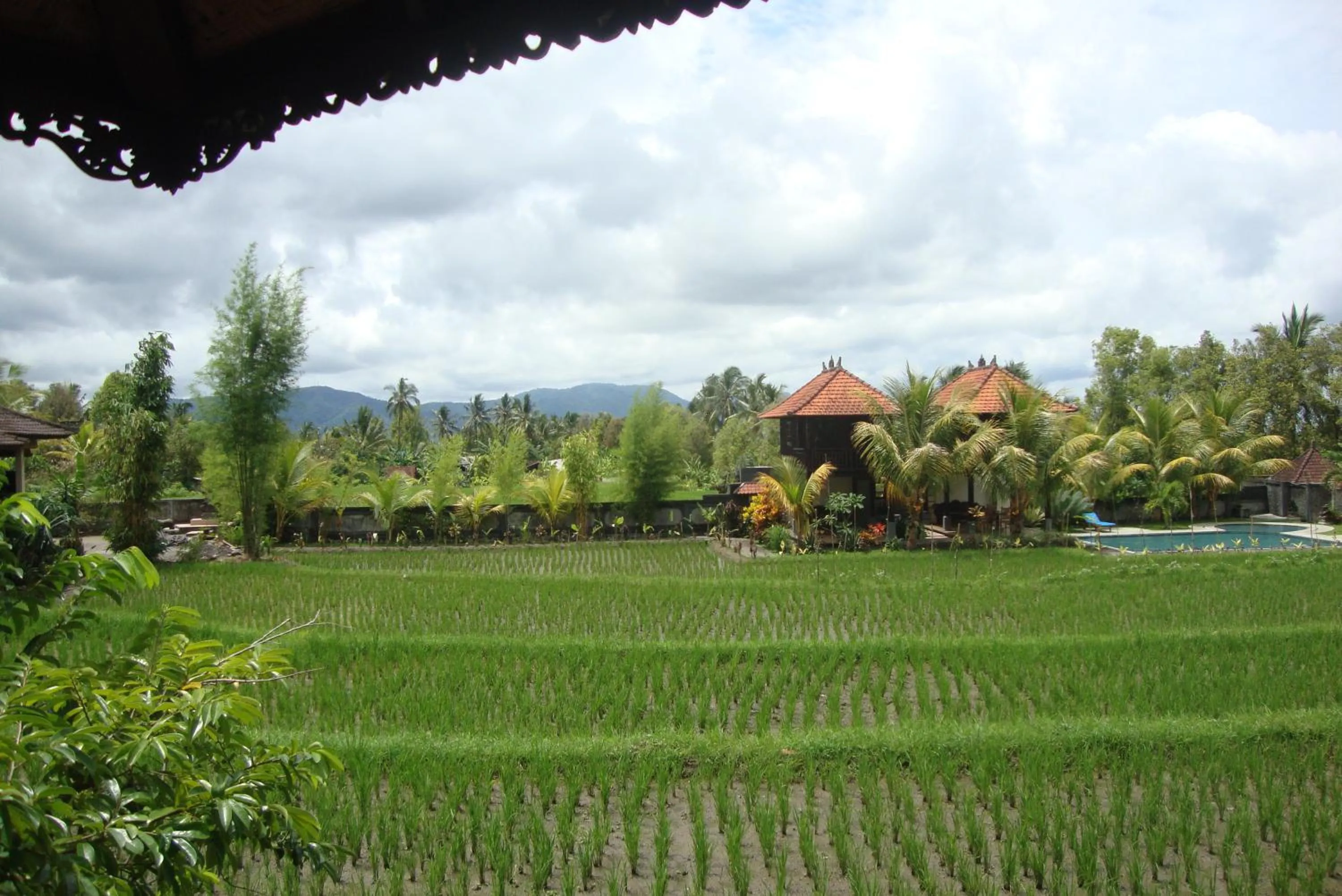 Natural landscape in Atres Villa
