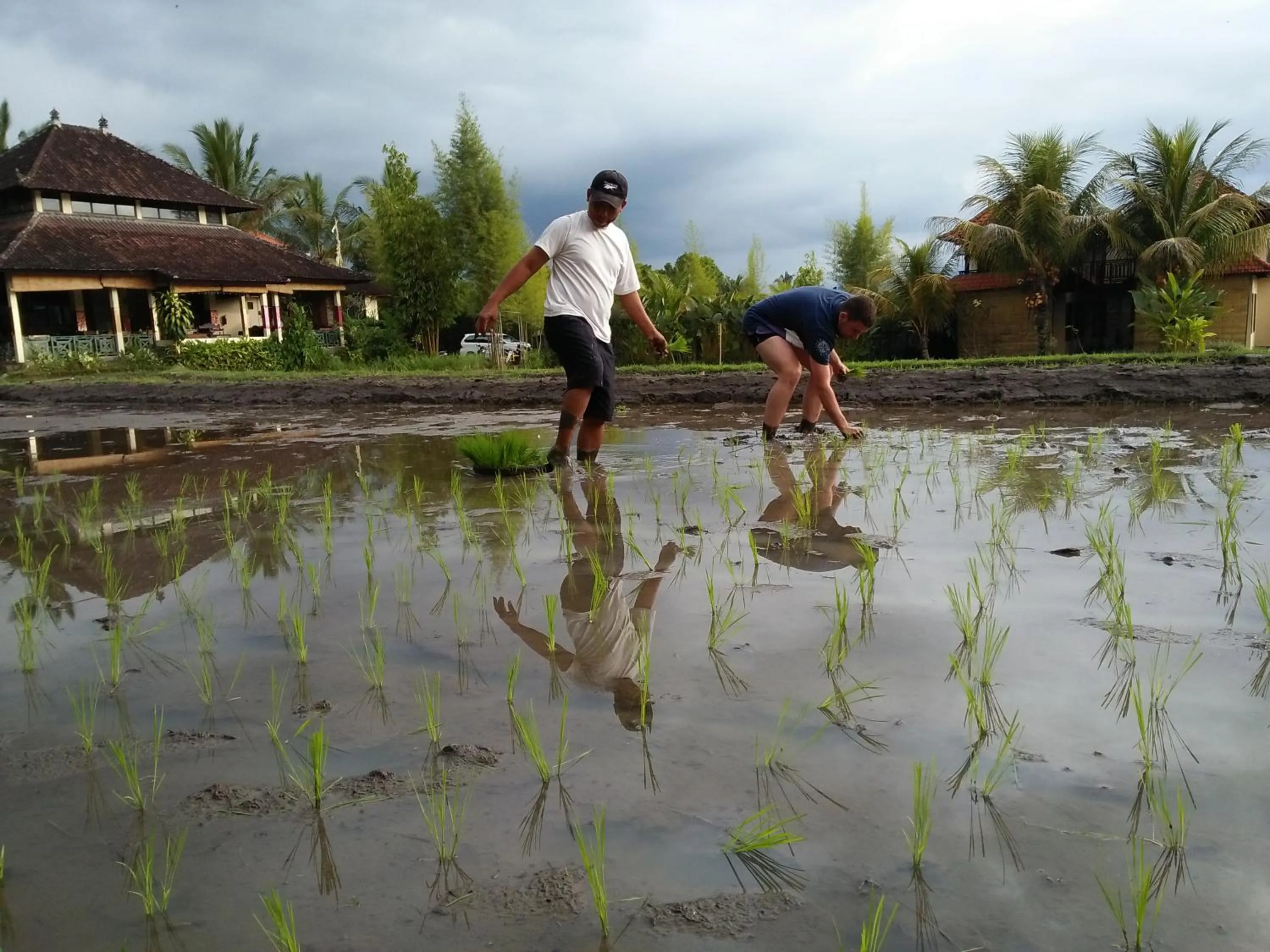 Staff in Atres Villa