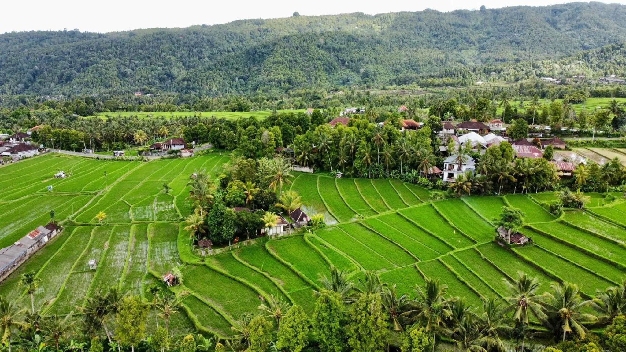 View (from property/room) in Atres Villa