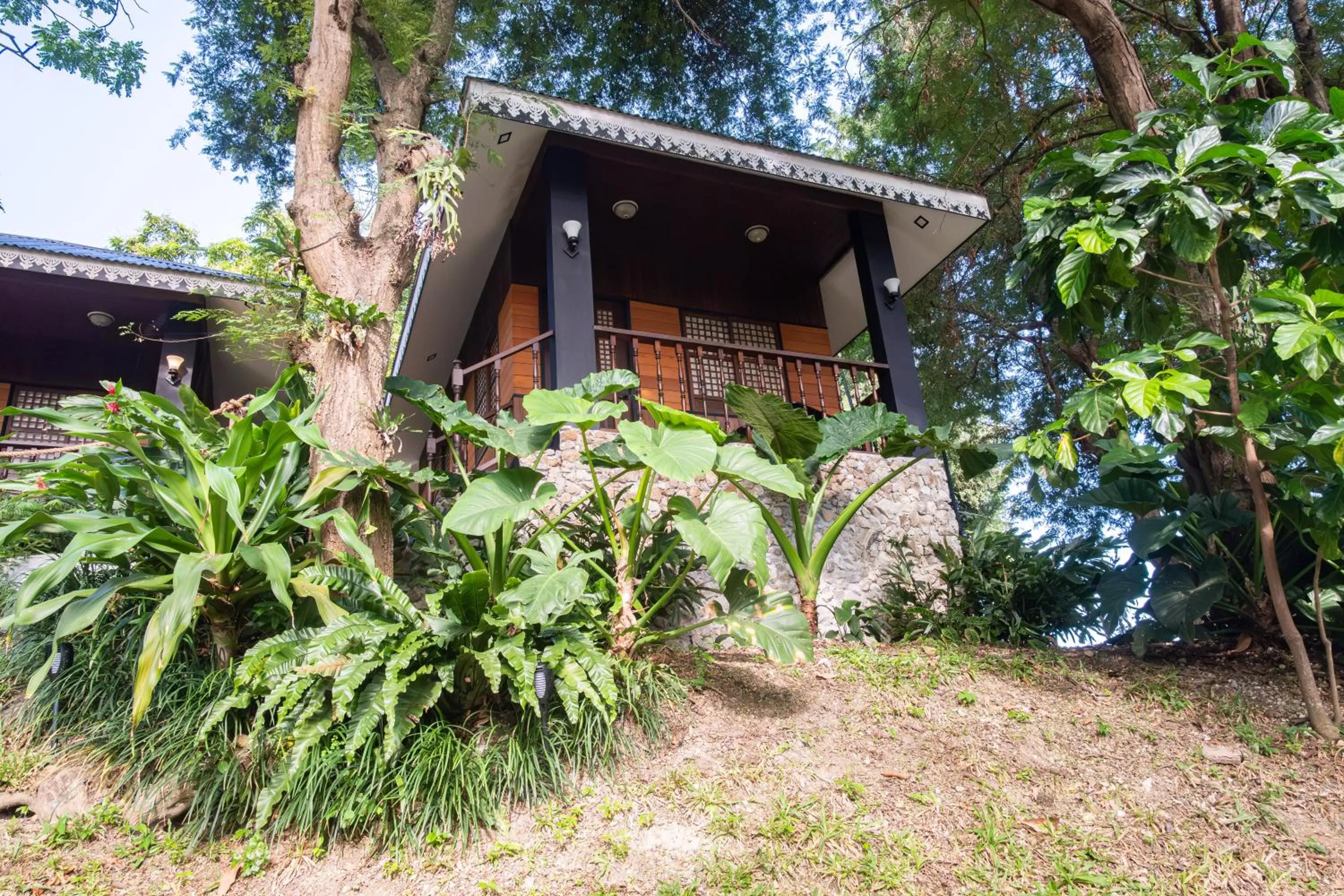 Property building in Nawa Wellness