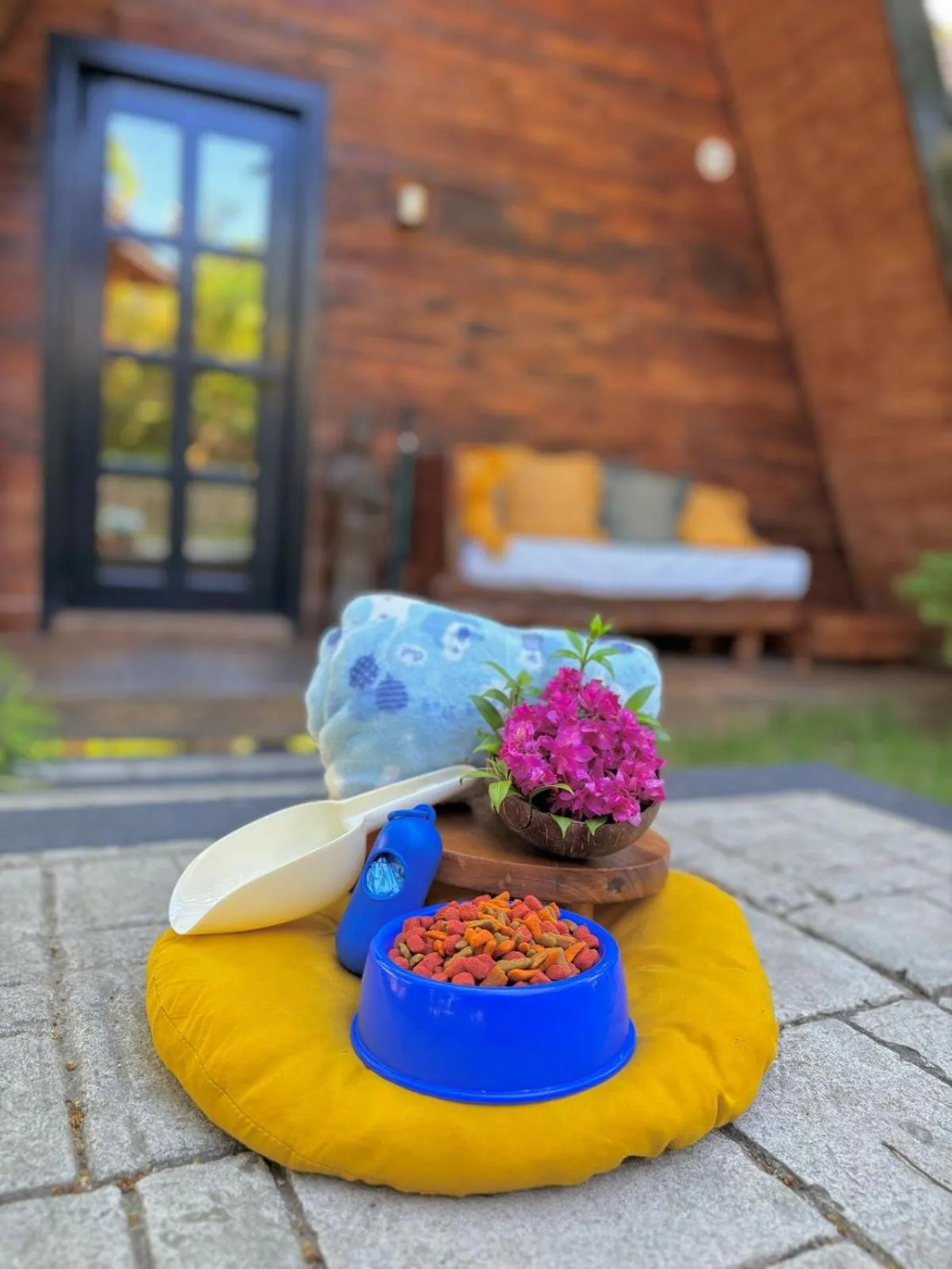 Pets in Nawa Wellness