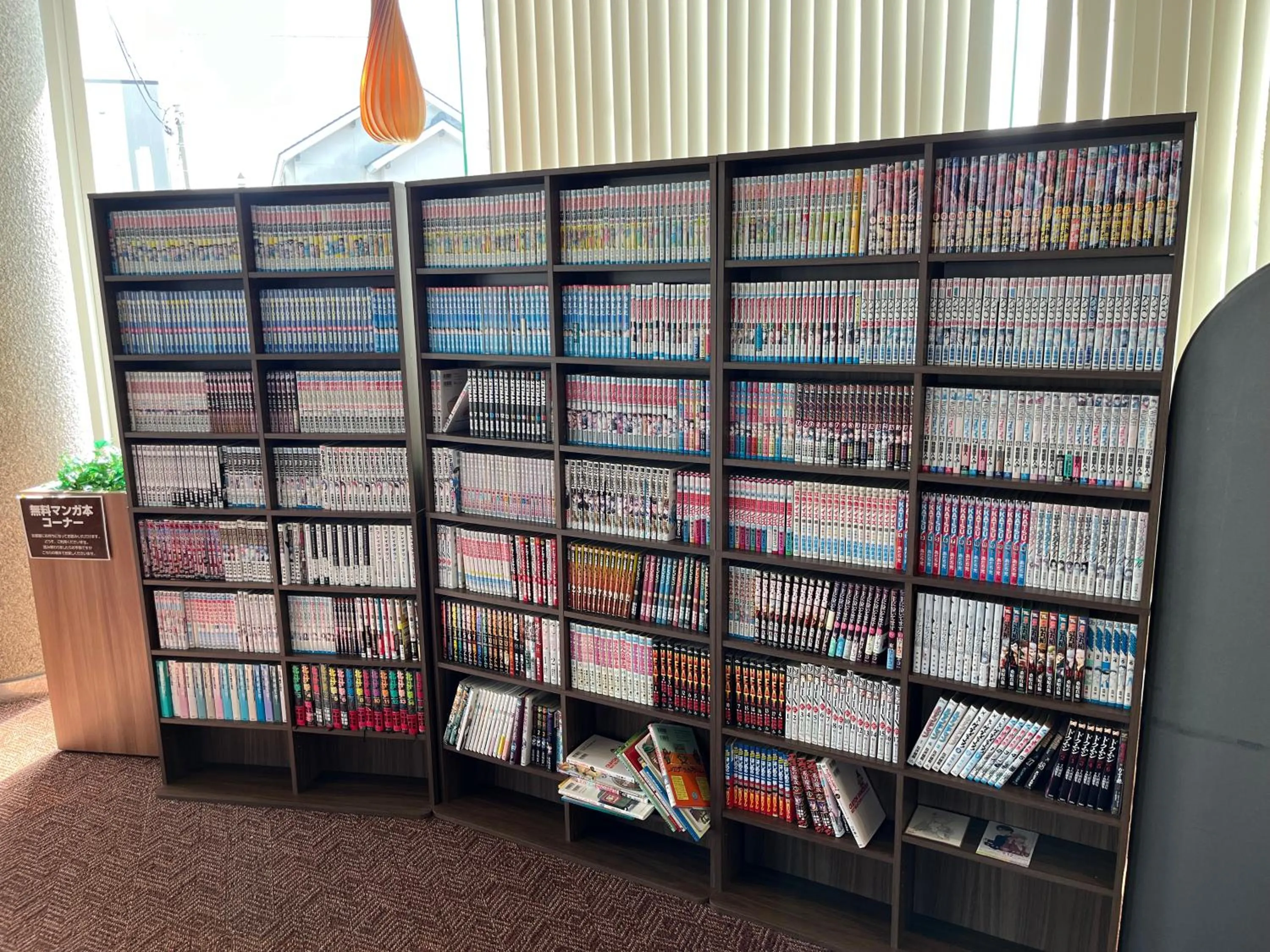 Library in Hotel Marsh Land