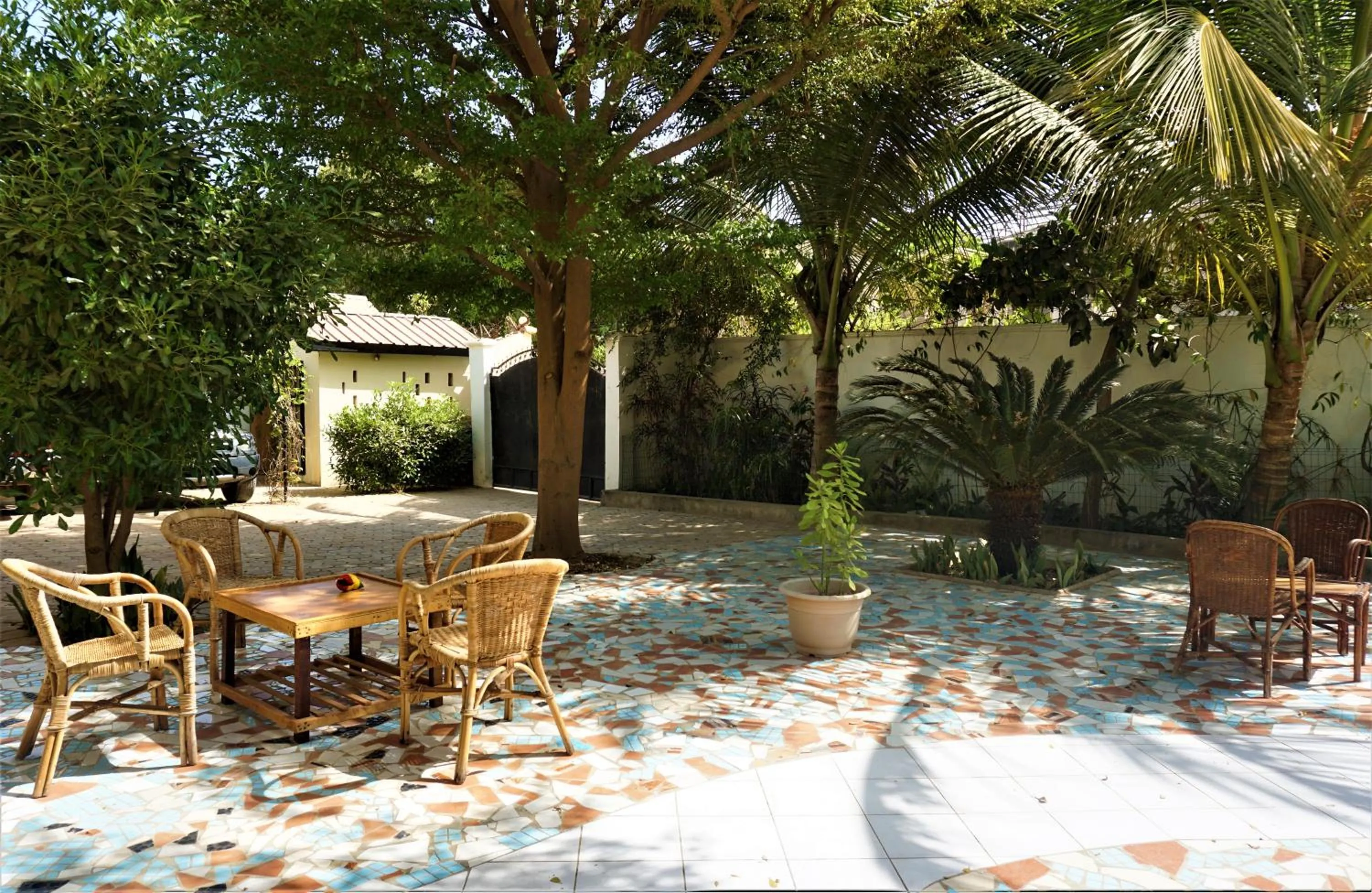 Garden in B & B Villa Calliandra