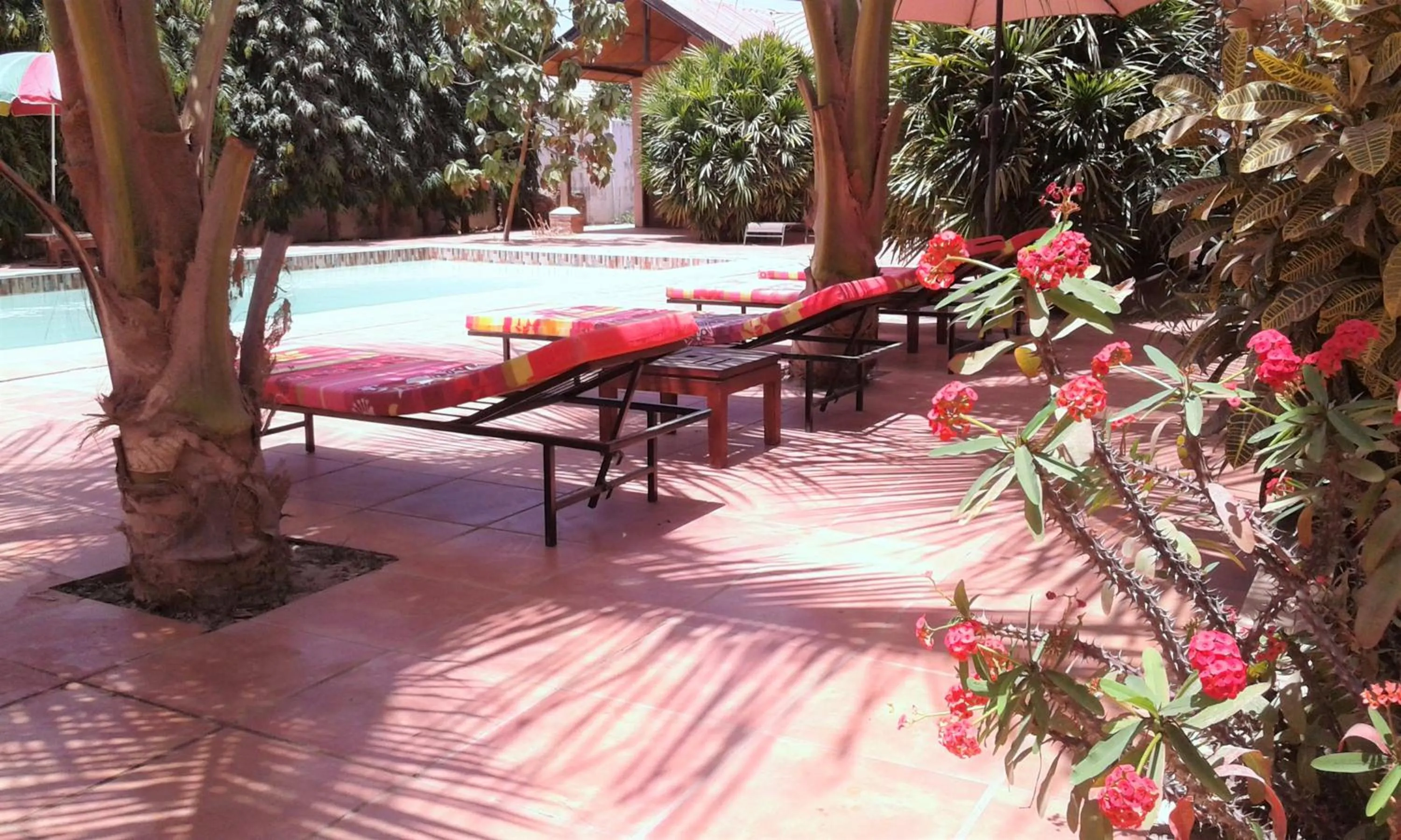 Garden in B & B Villa Calliandra