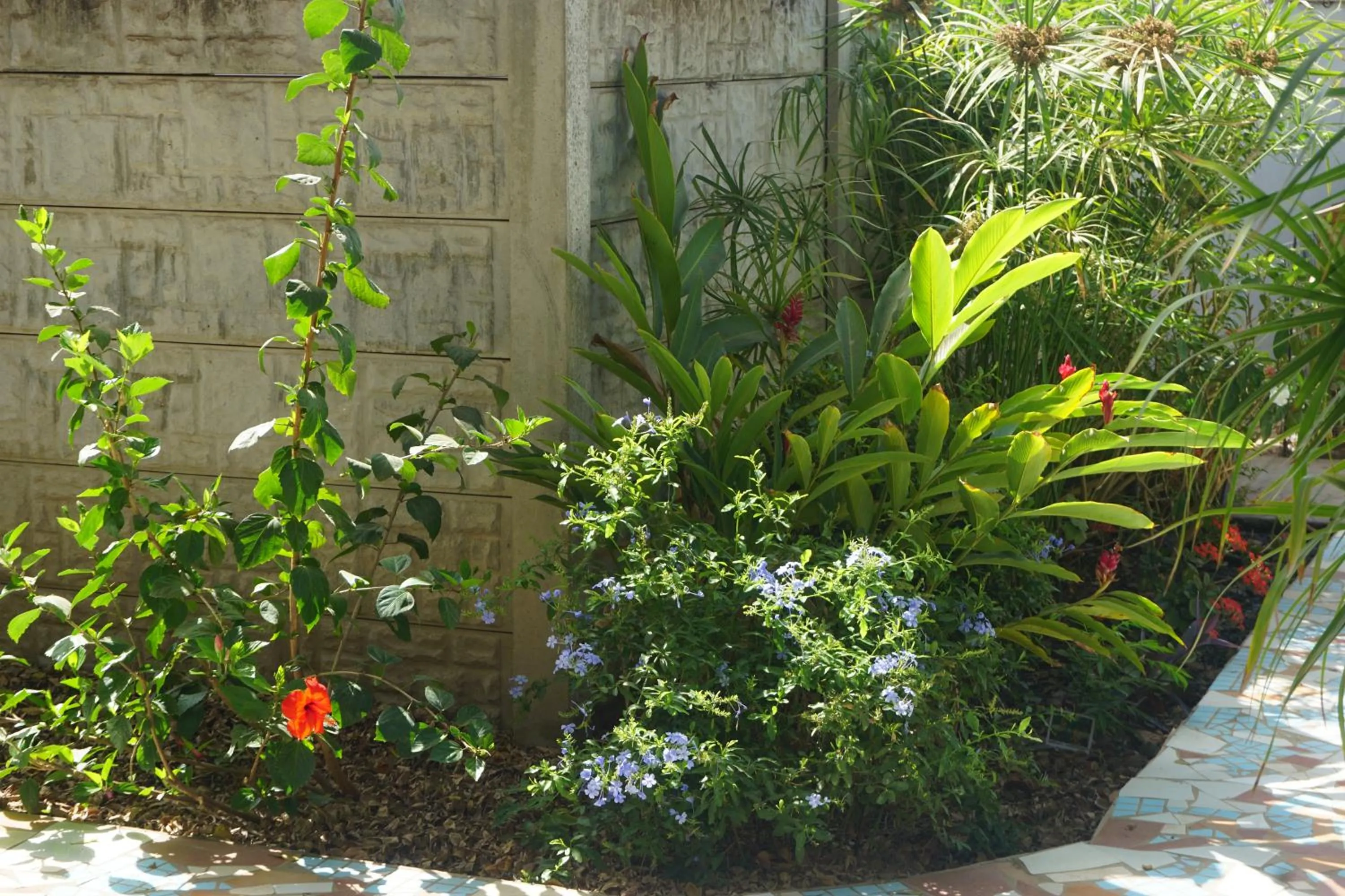 Garden in B & B Villa Calliandra