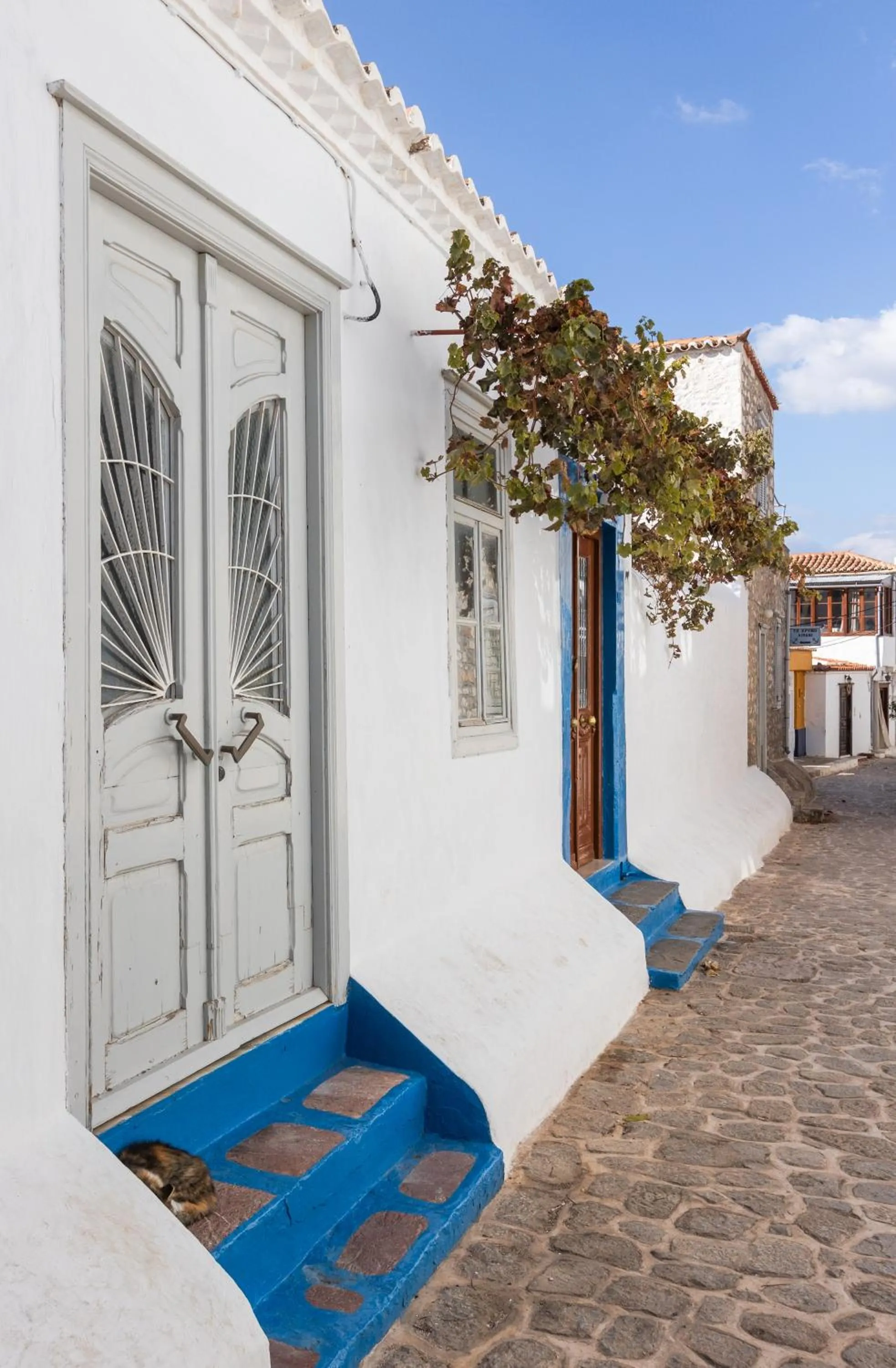 Property building in Maison Muse