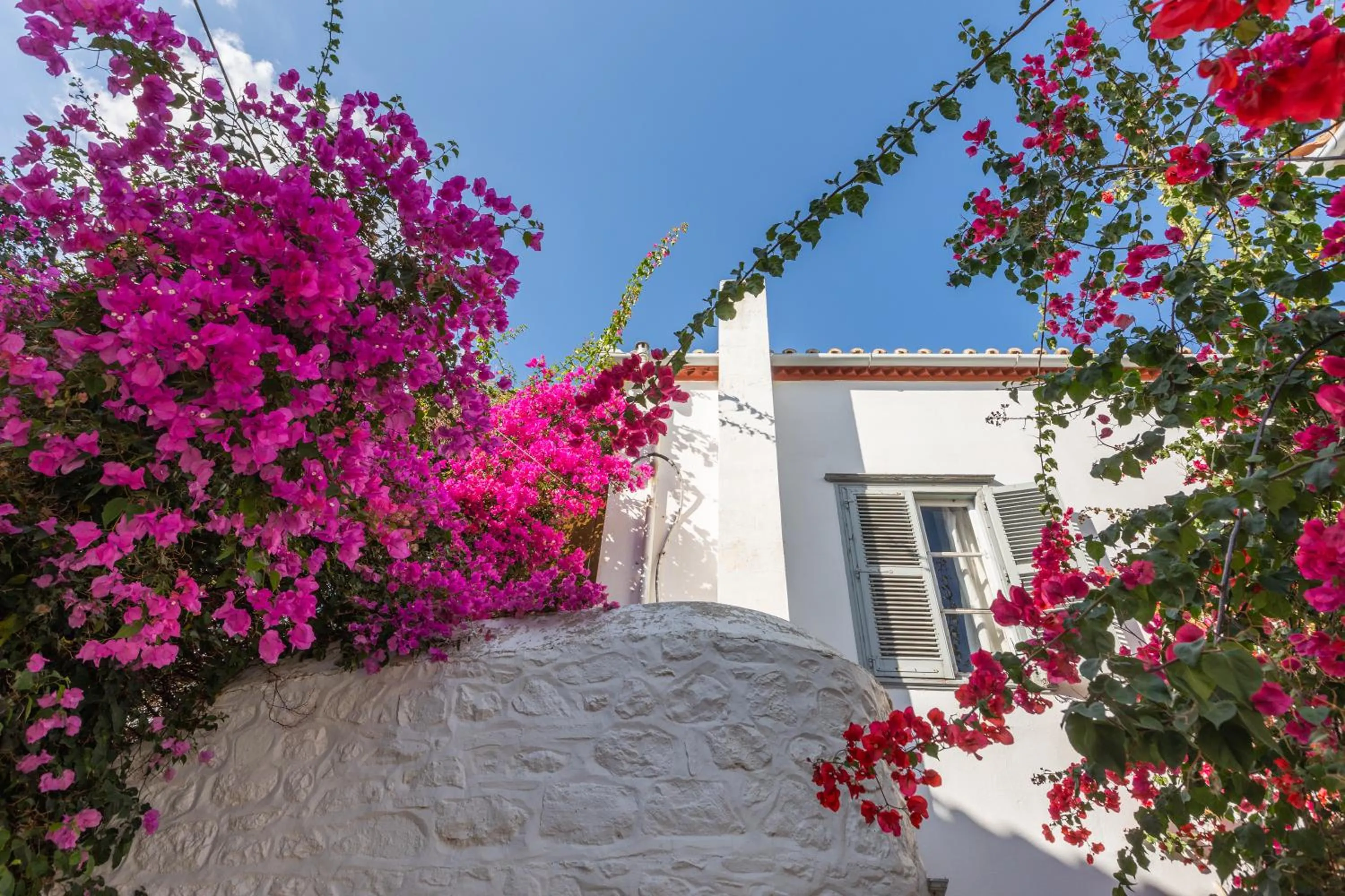 Decorative detail in Maison Muse