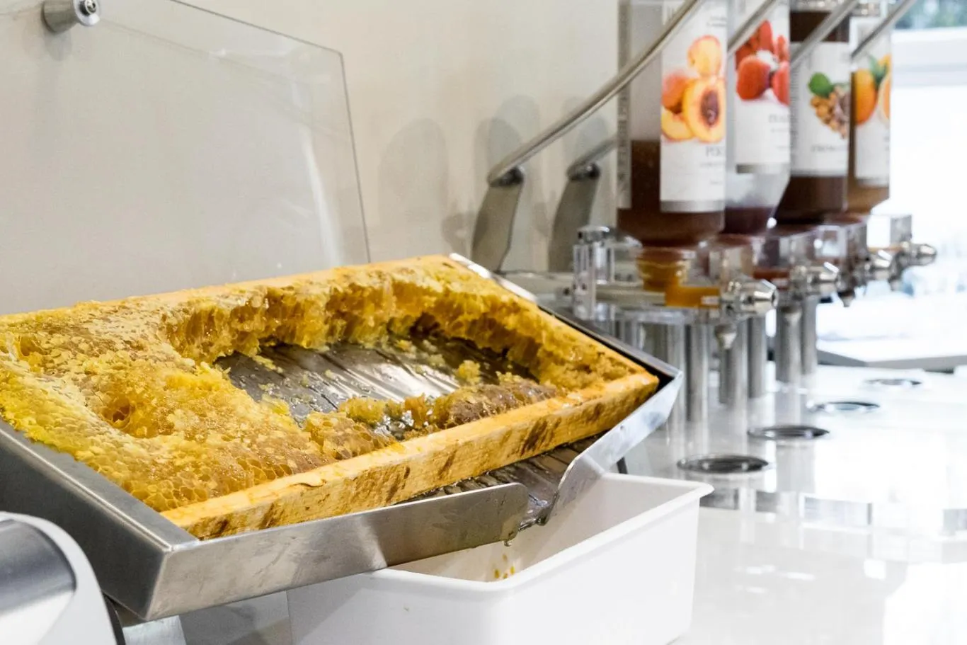 Breakfast in Massimi City Garden