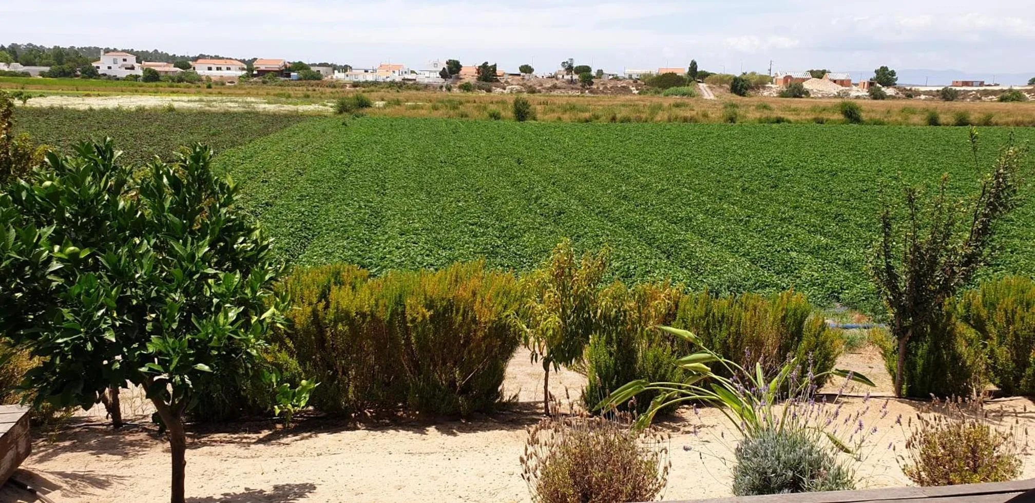 Natural landscape in Comporta House