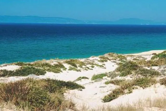 Beach in Comporta House