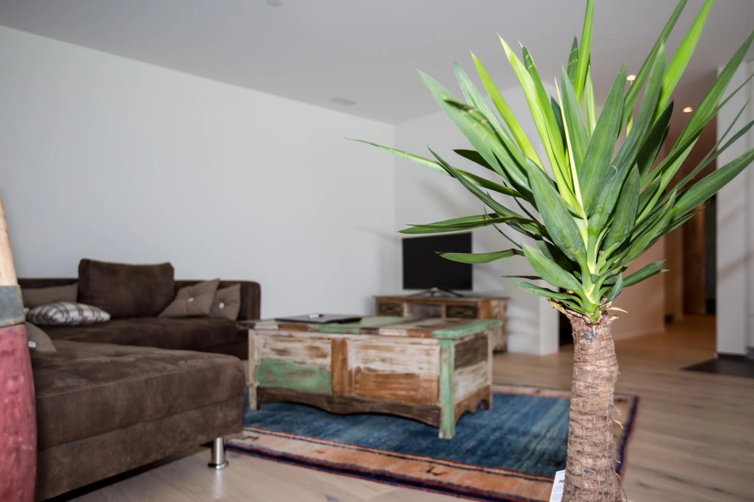 Hotel Schäfli Siebnen