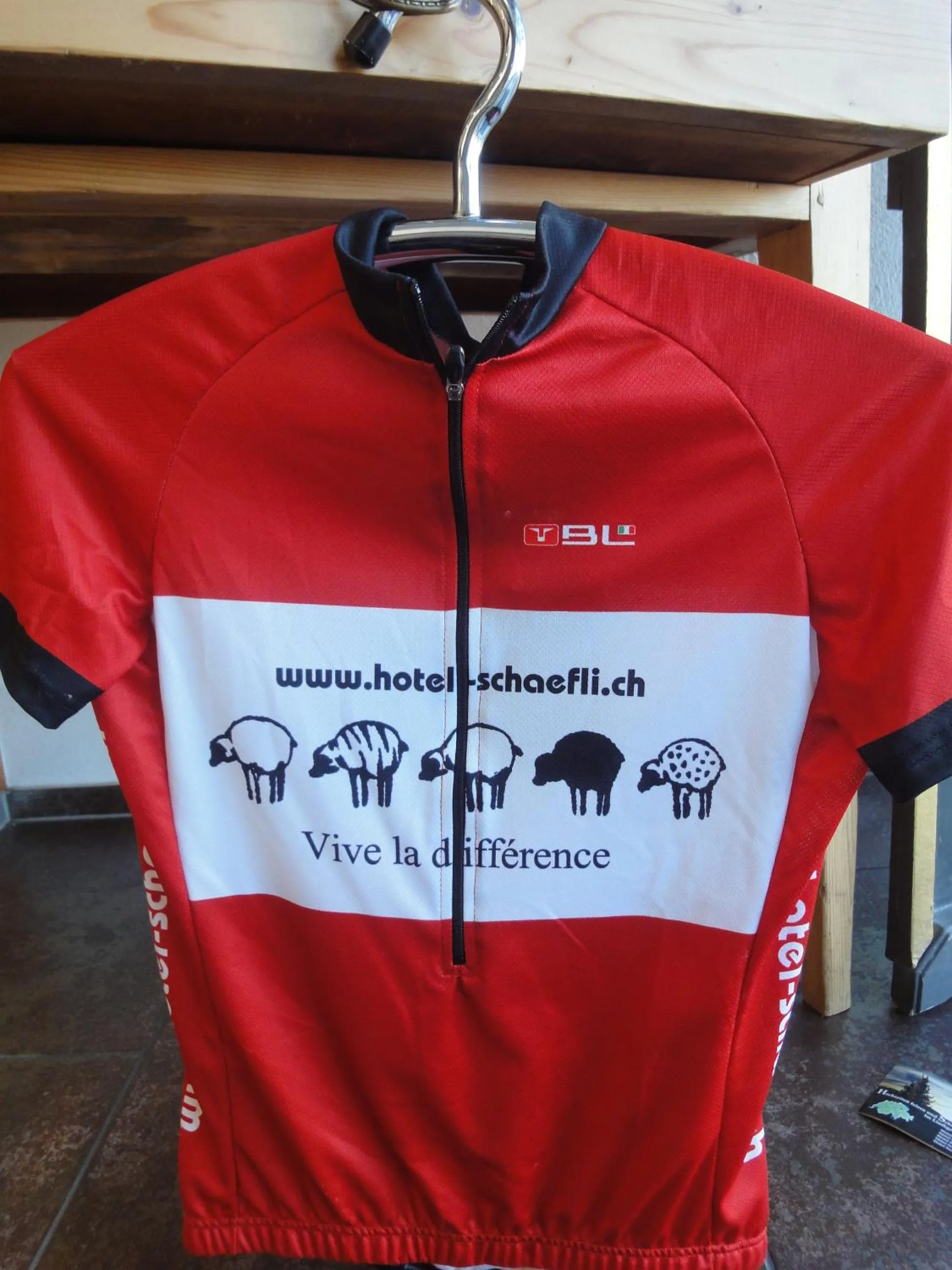 Other in Hotel Schäfli Siebnen